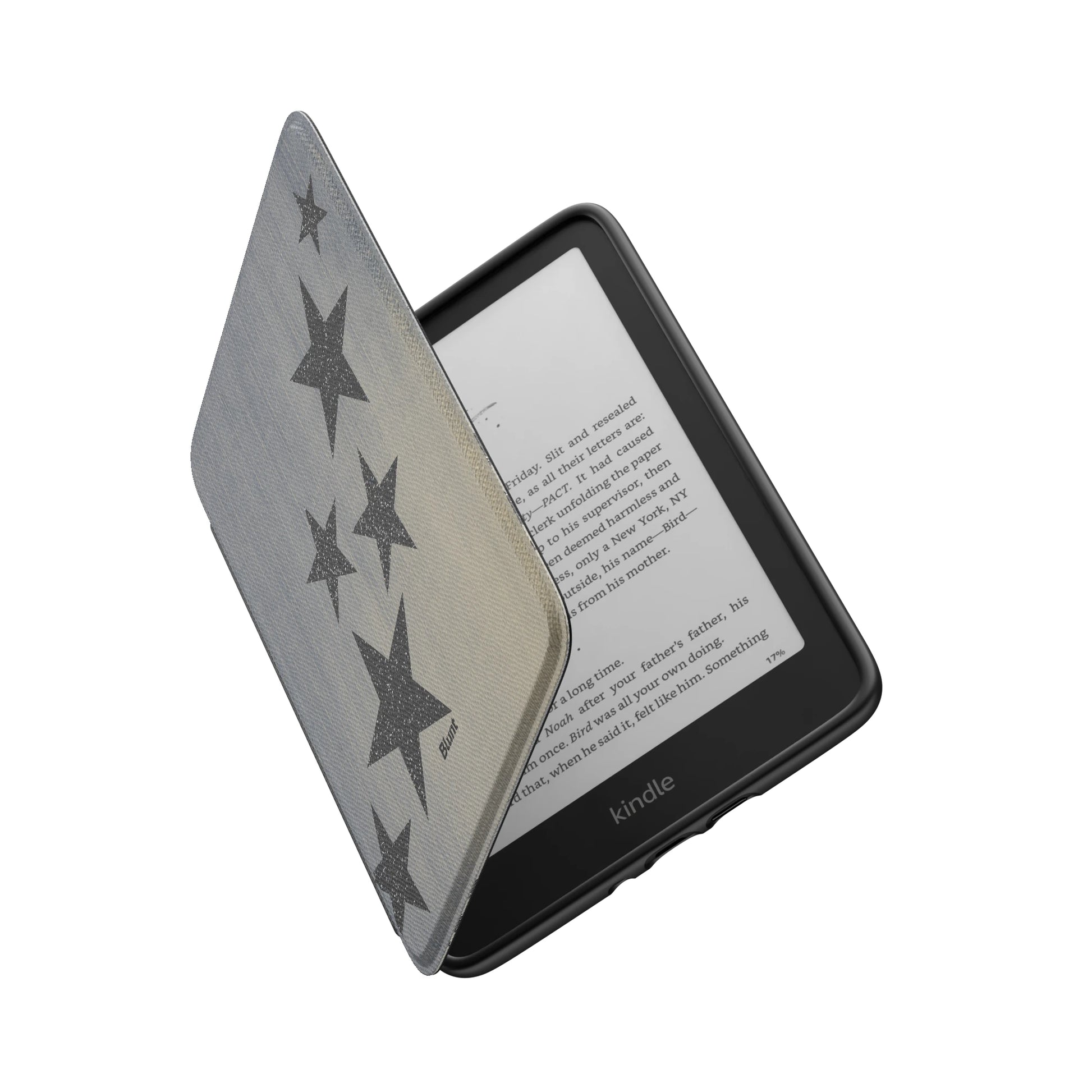 Kindle_Standard_6