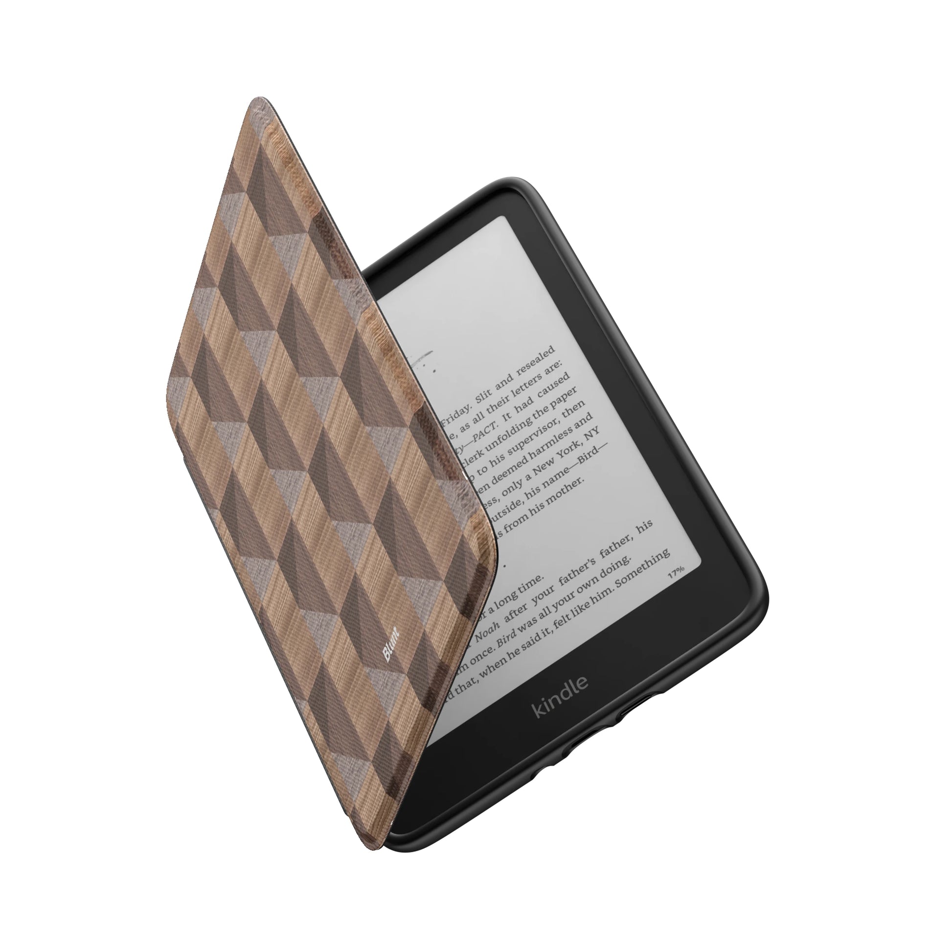 Kindle_Standard_6