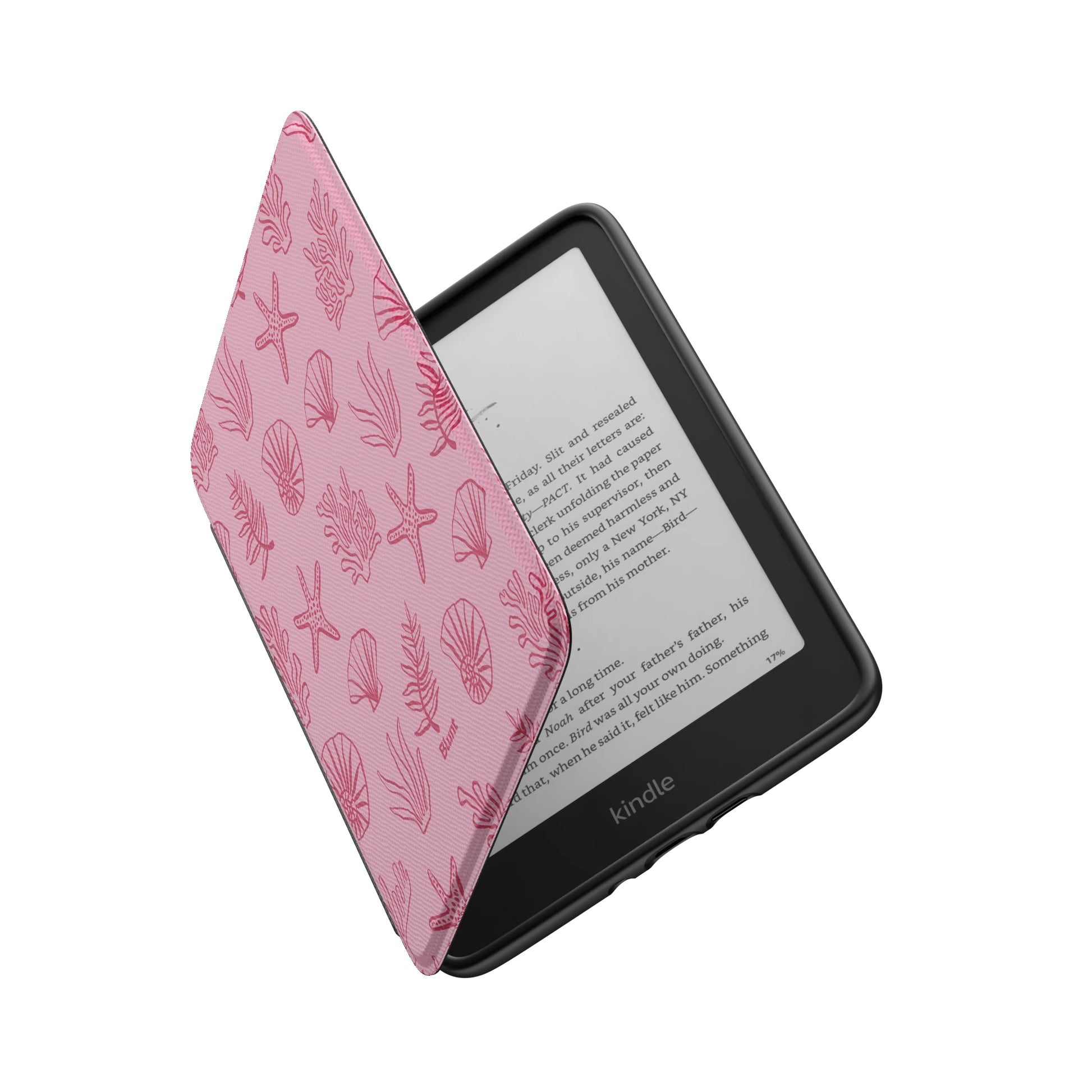 Kindle_Standard_6