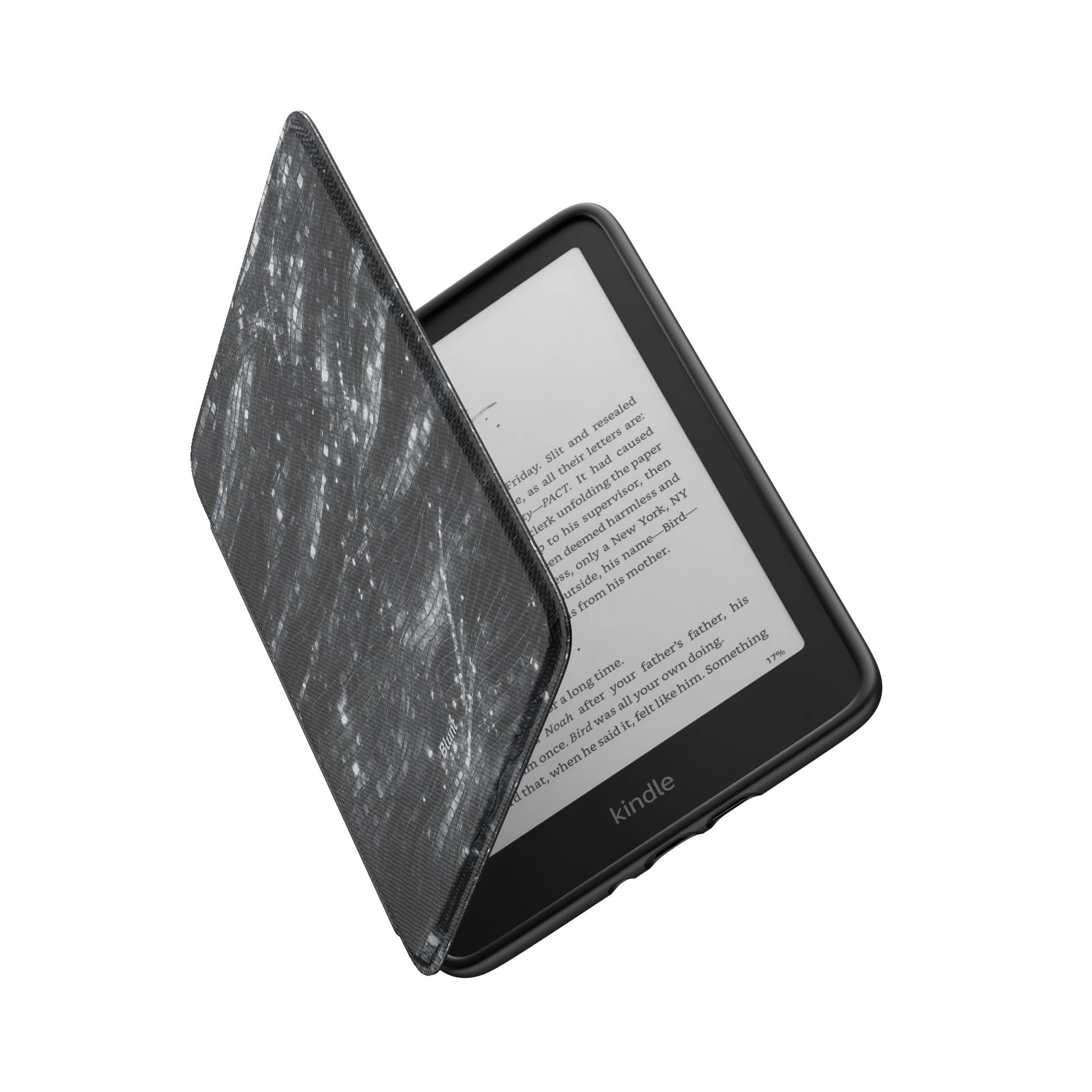 Kindle_Standard_6