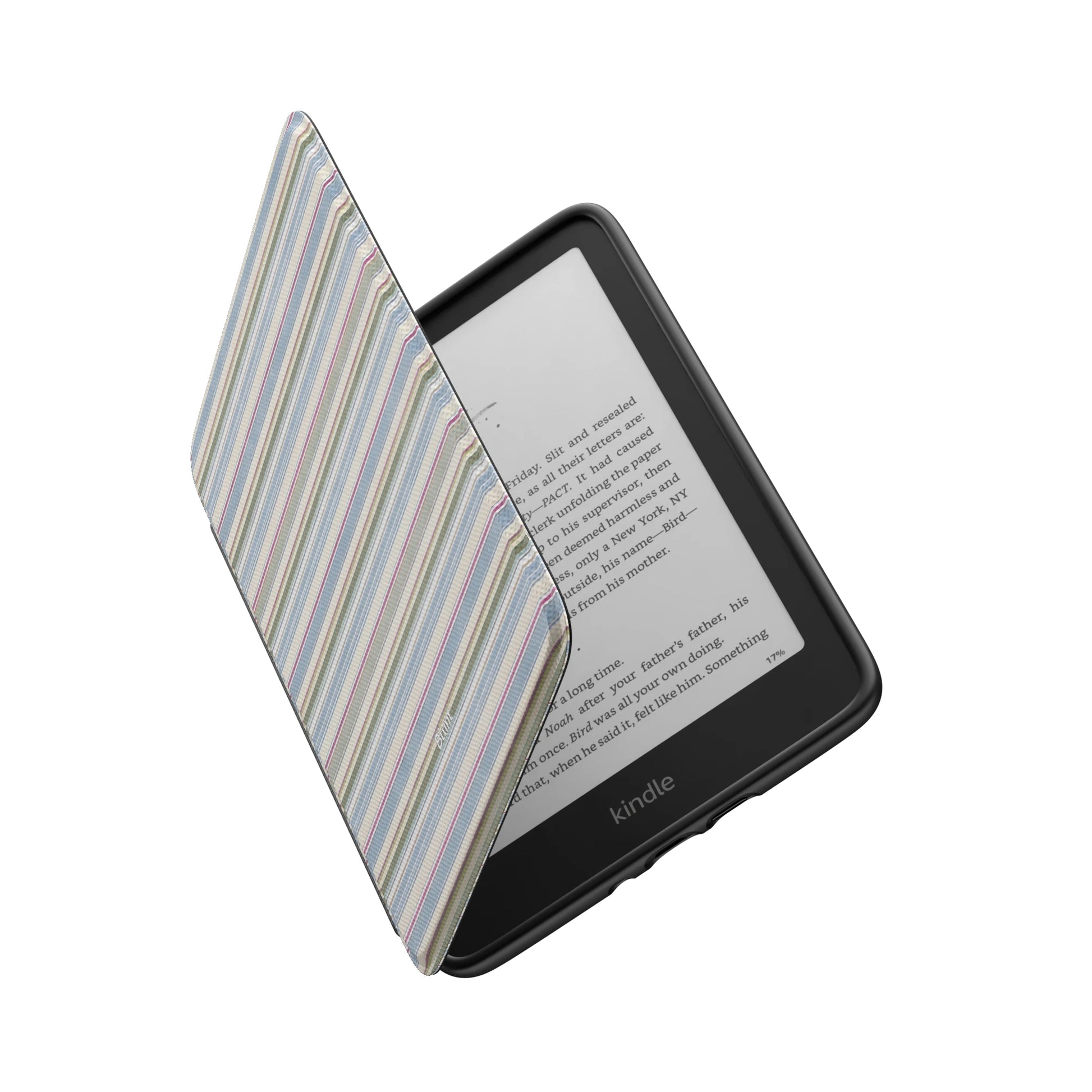 Kindle_Standard_6