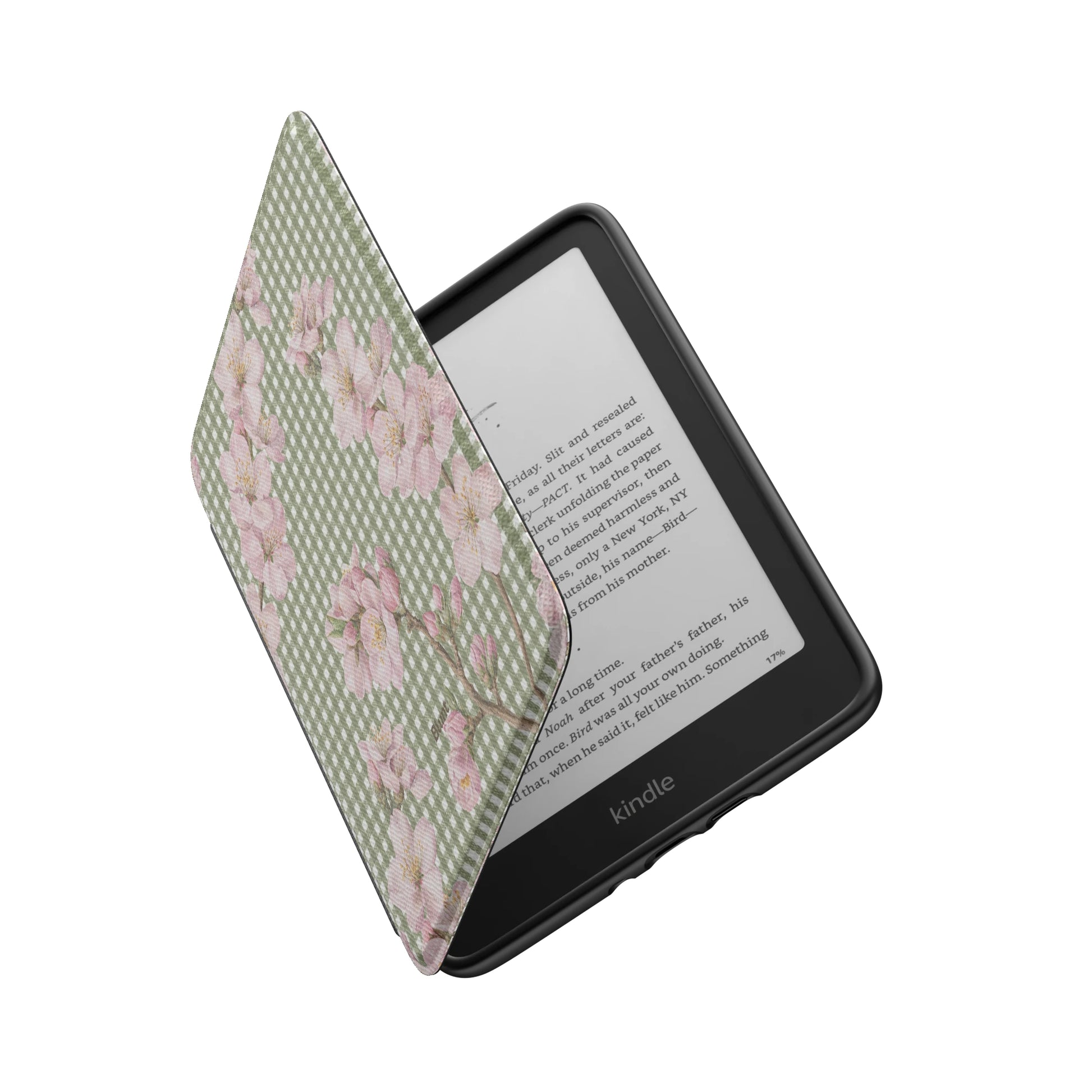 Kindle_Standard_6