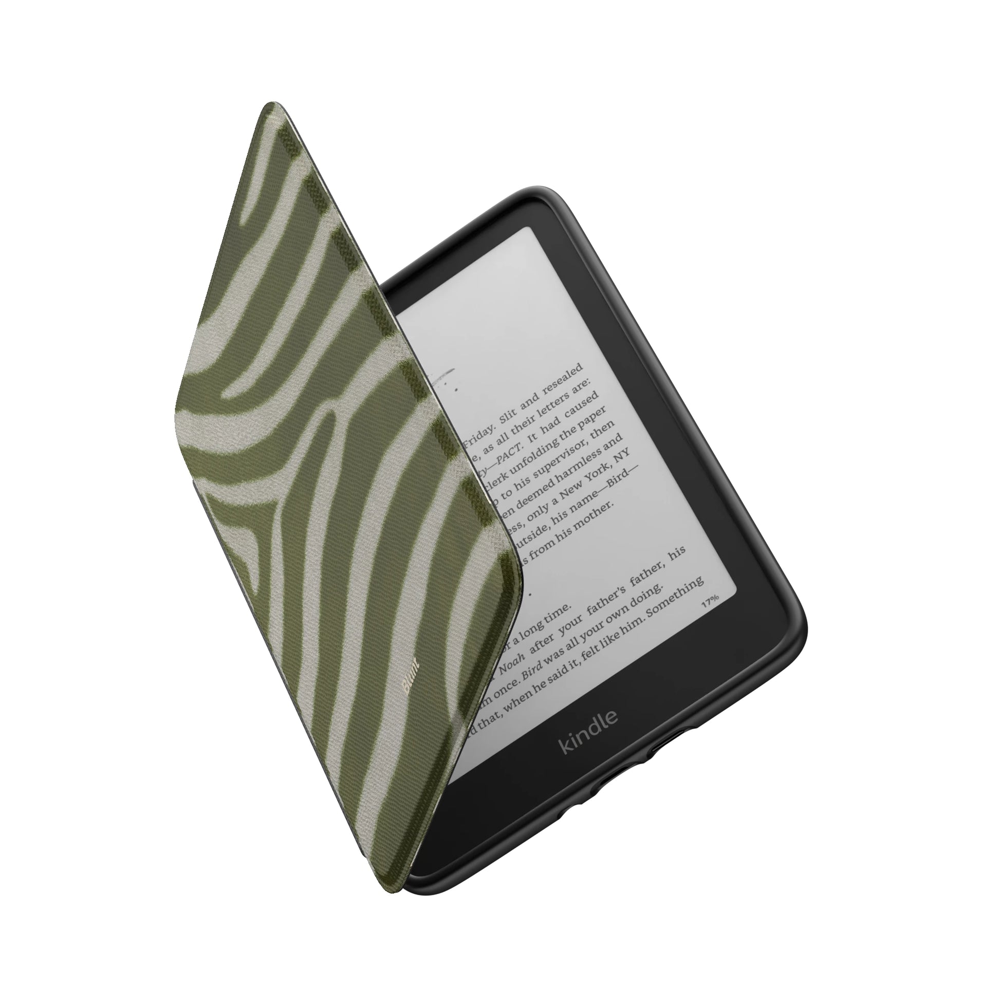 Kindle_Standard_6