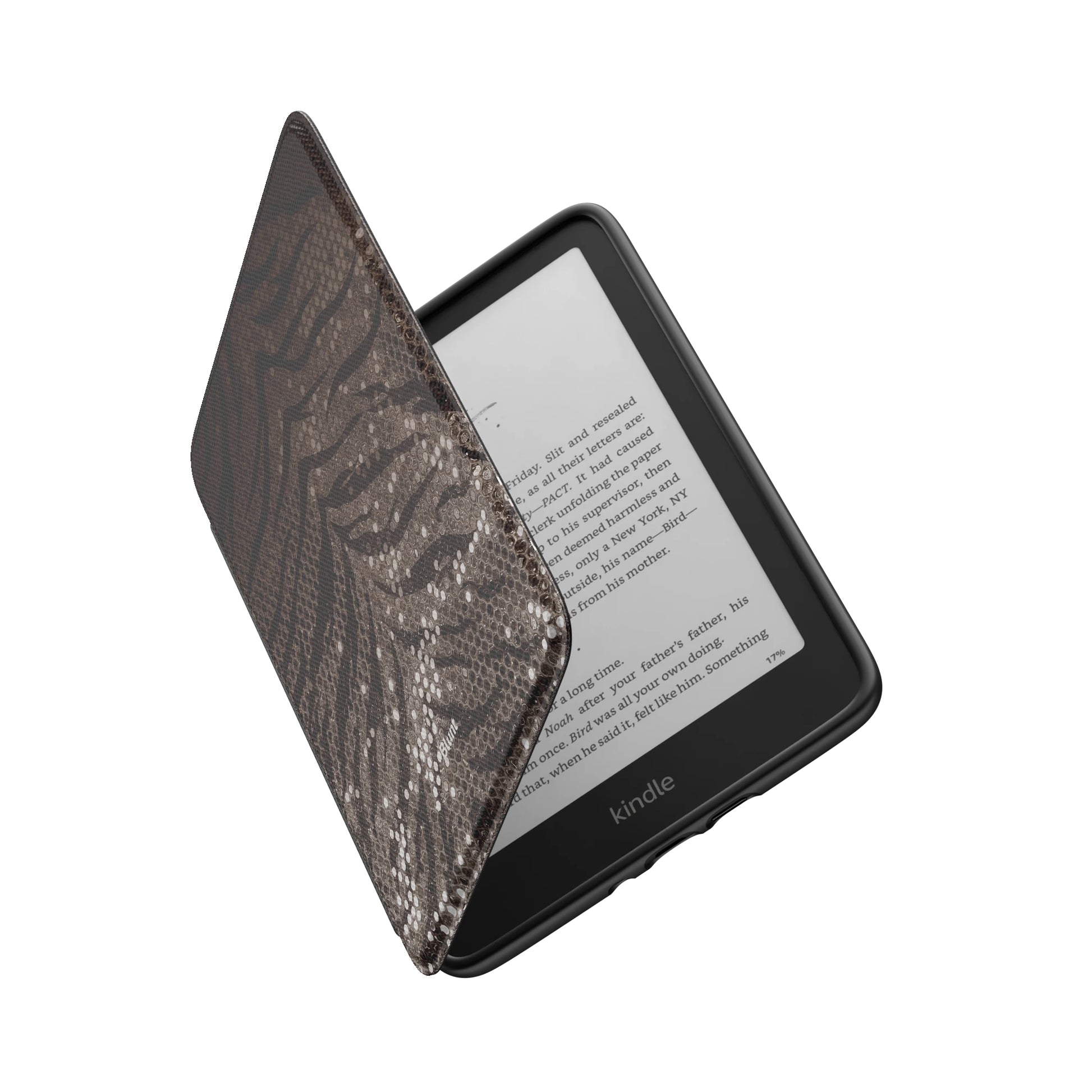 Kindle_Standard_6