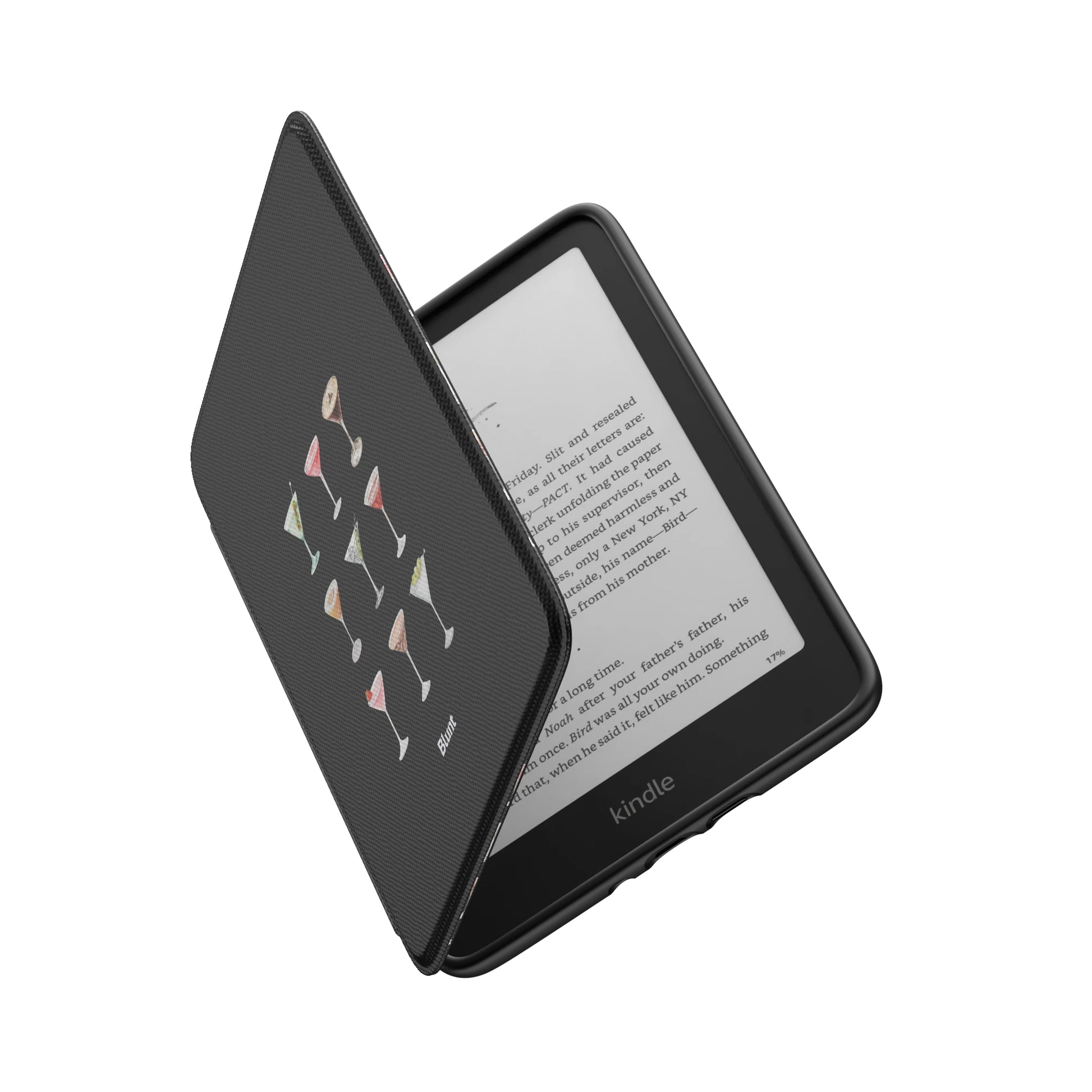 Kindle_Standard_6