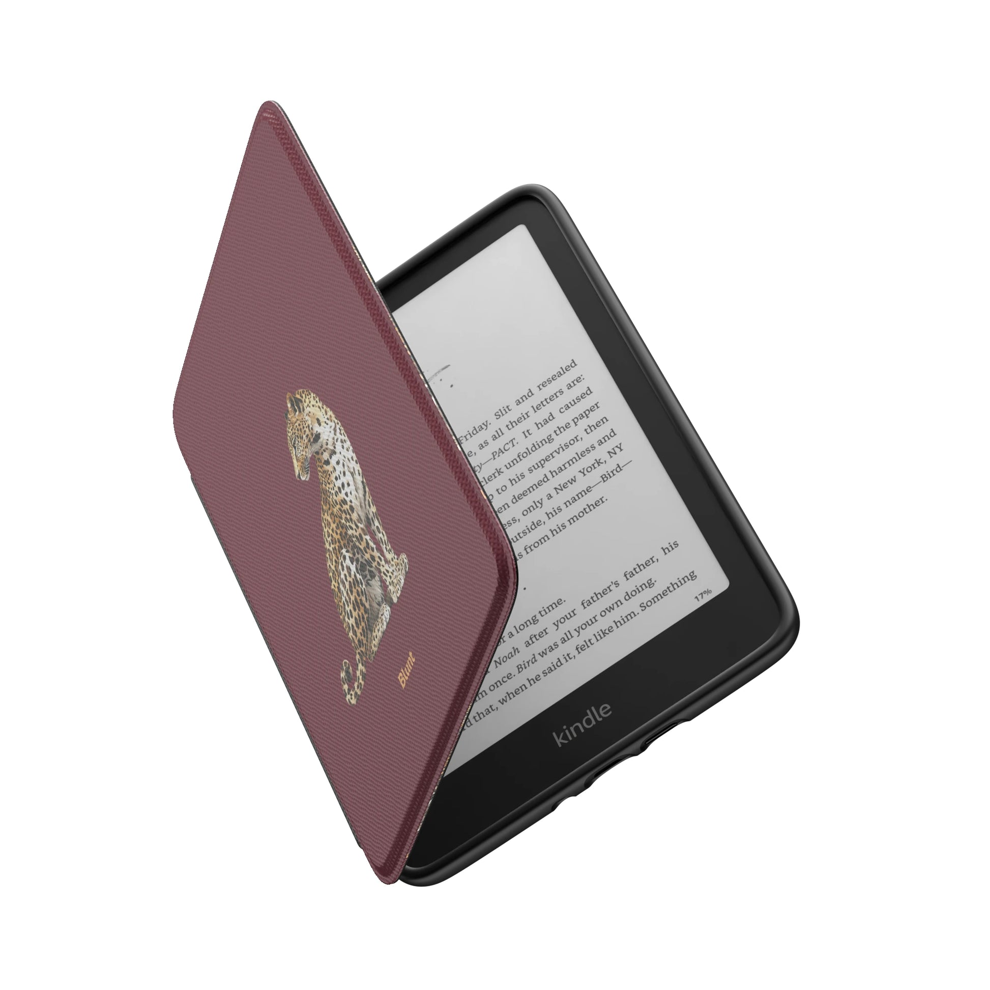 Kindle_Standard_6