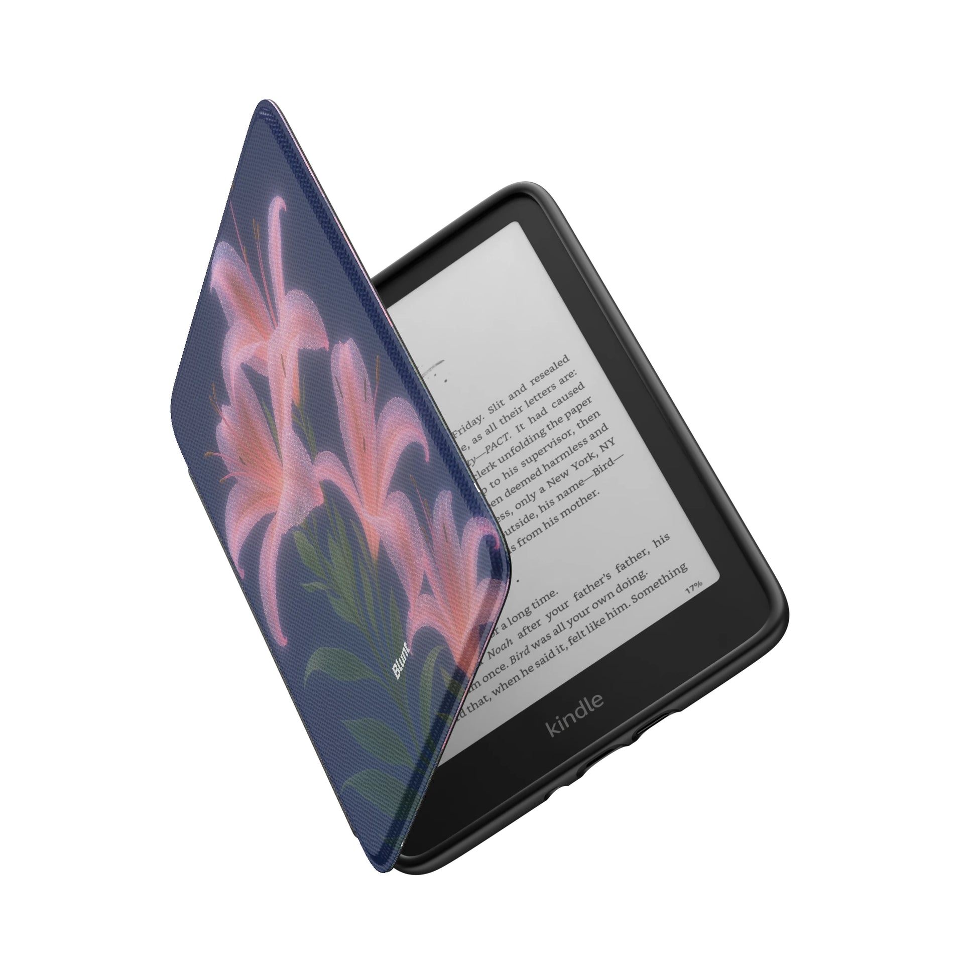 Kindle_Standard_6