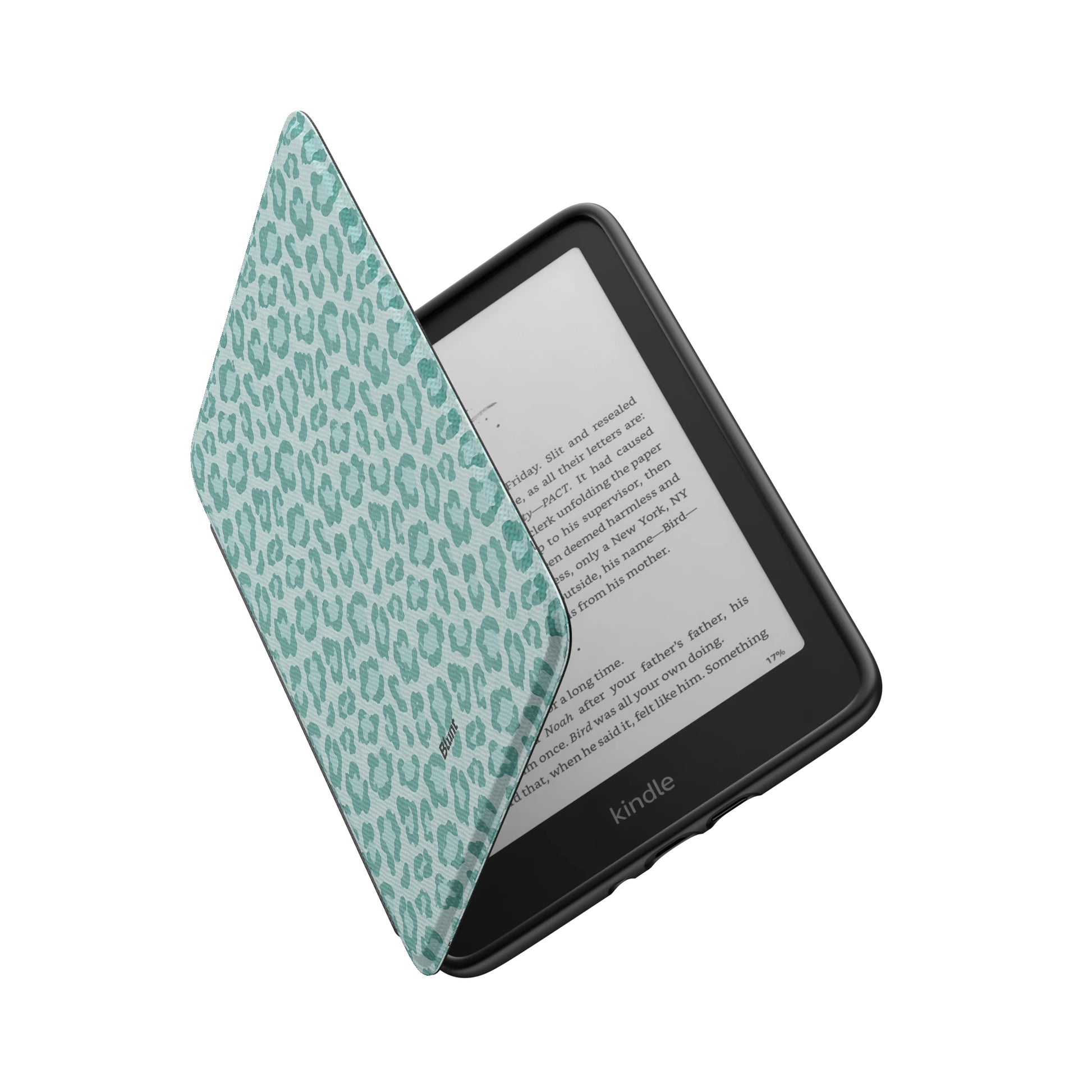 Kindle_Standard_6