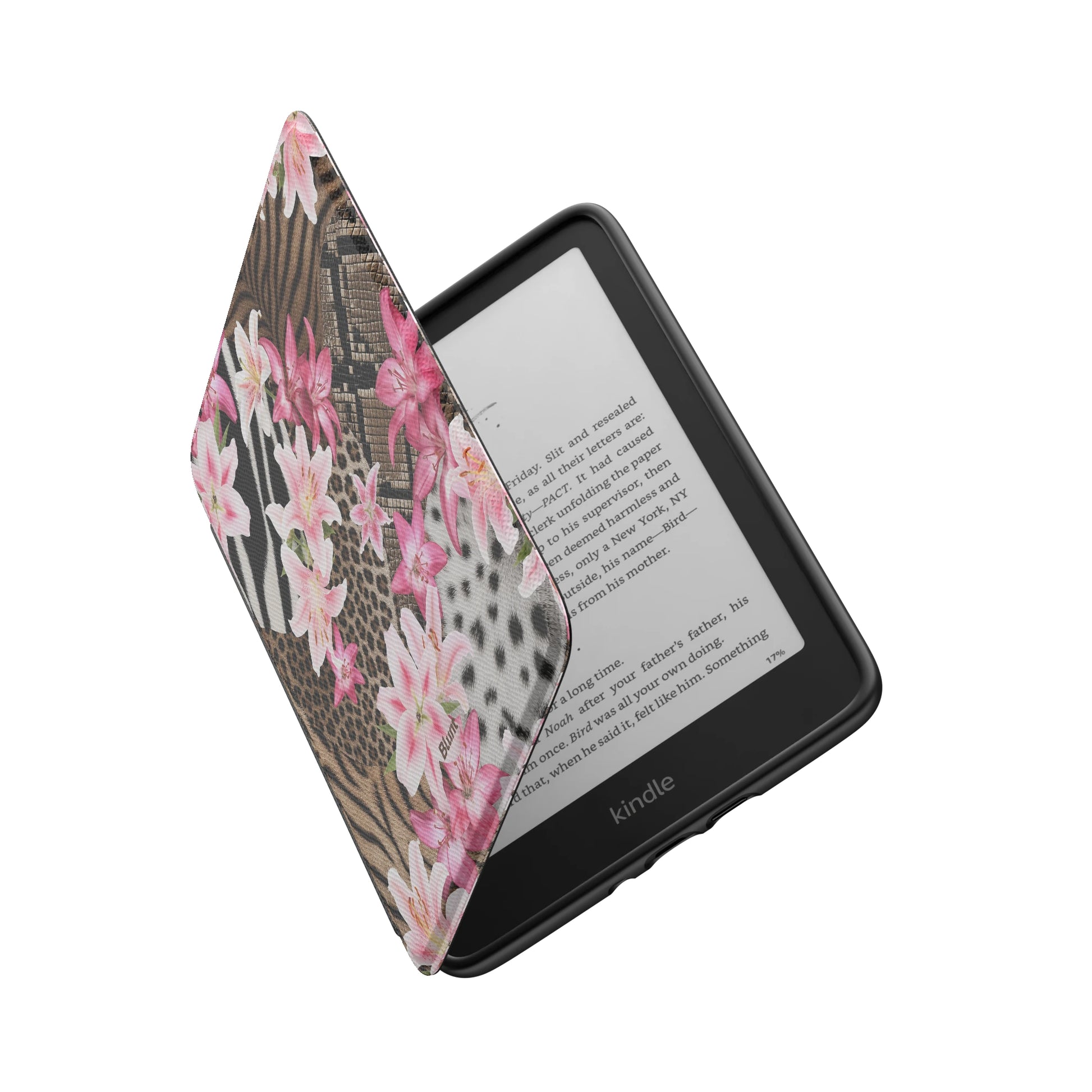 Kindle_Standard_6