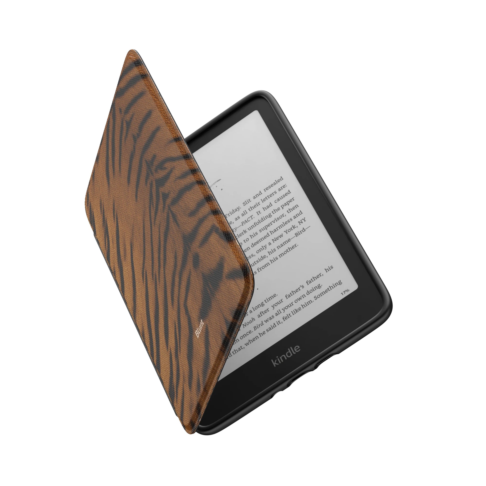 Kindle_Standard_6