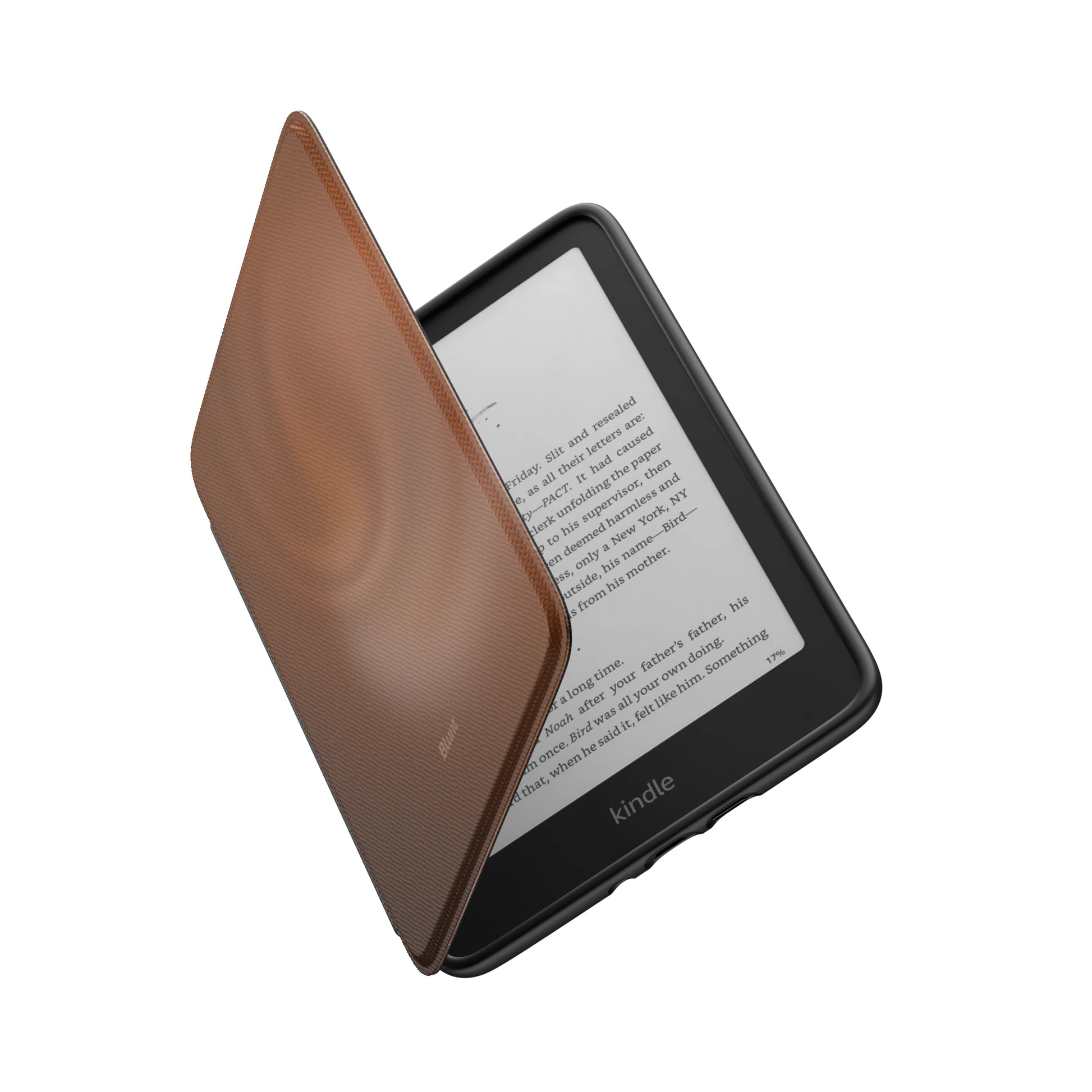 Kindle_Standard_6