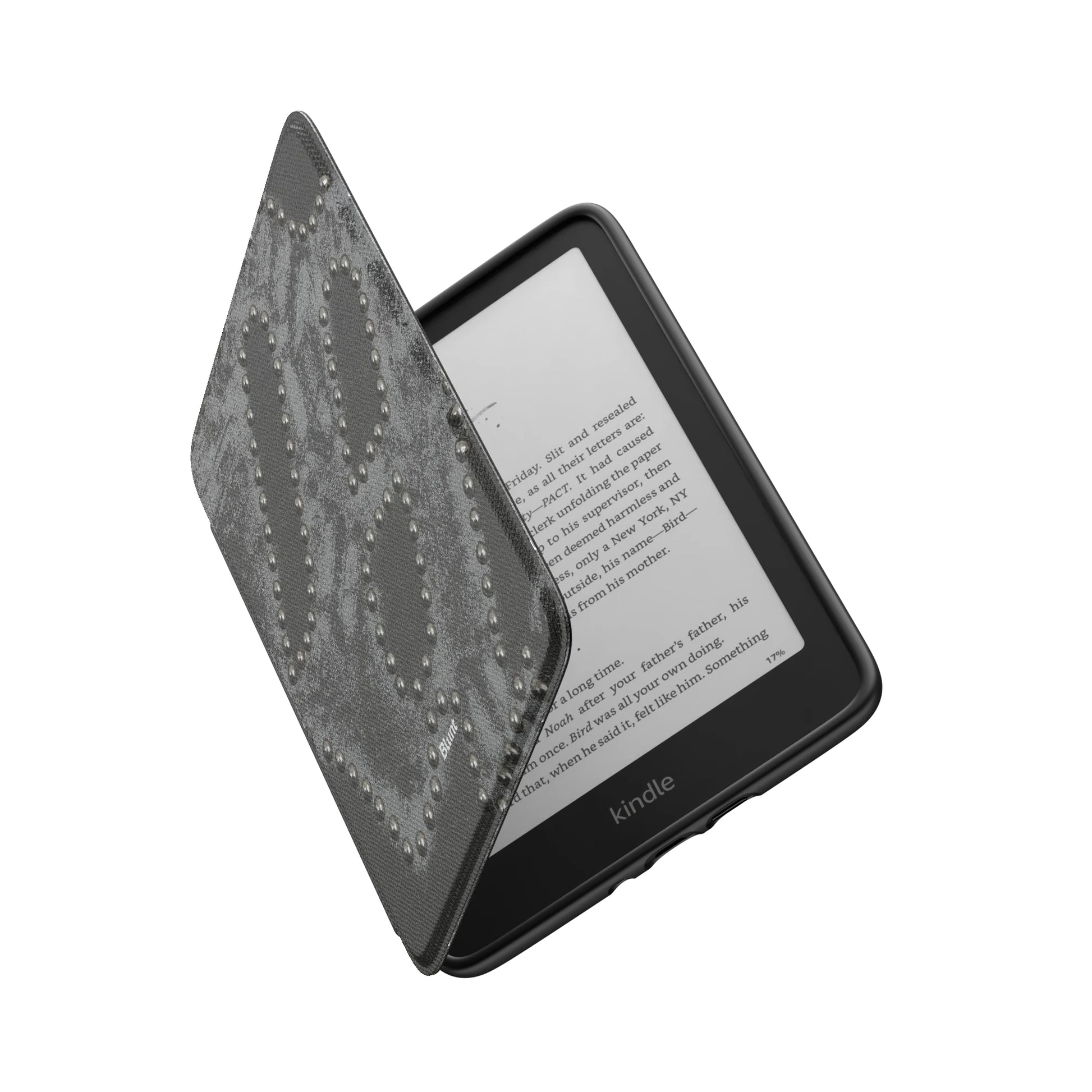 Kindle_Standard_6