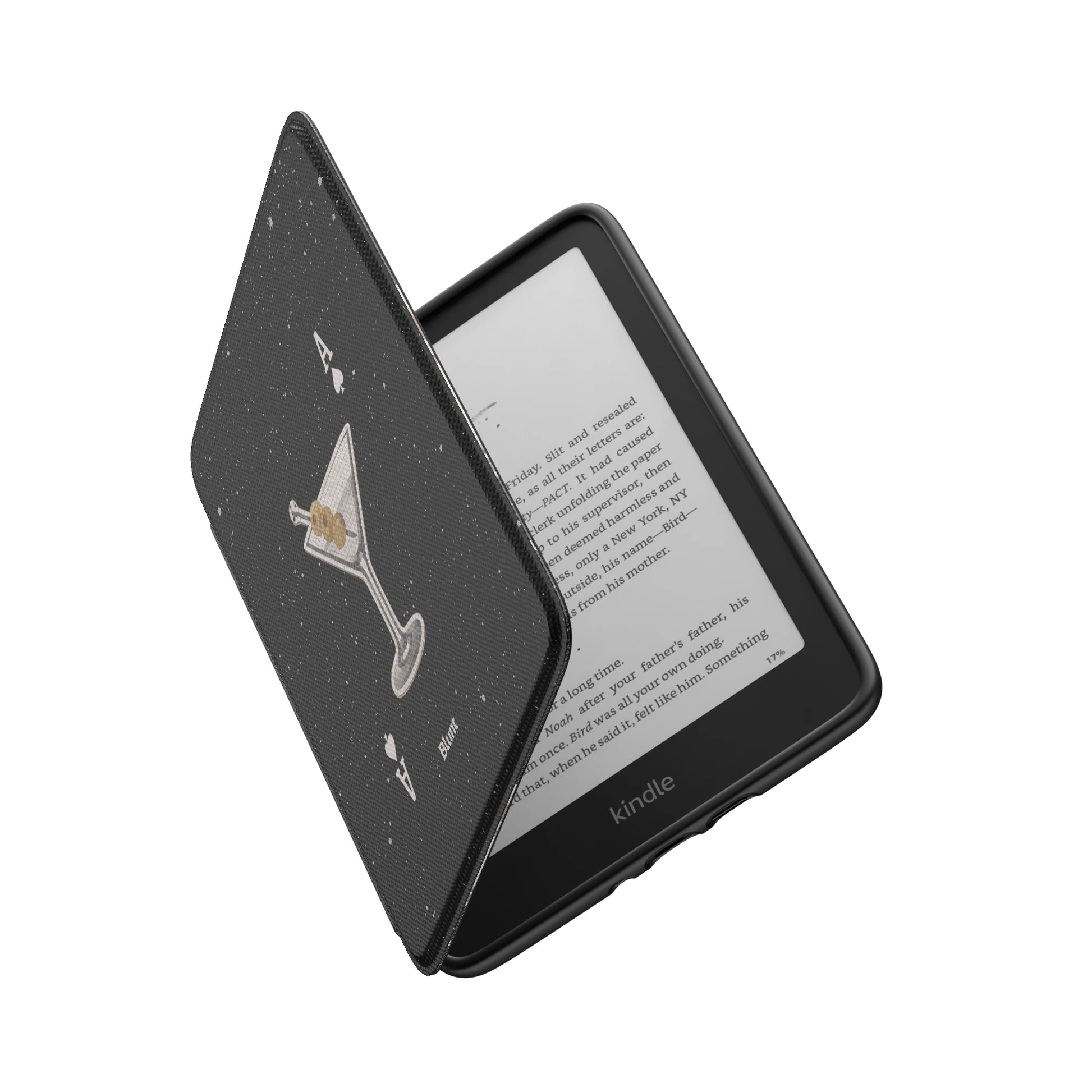 Kindle_Standard_6
