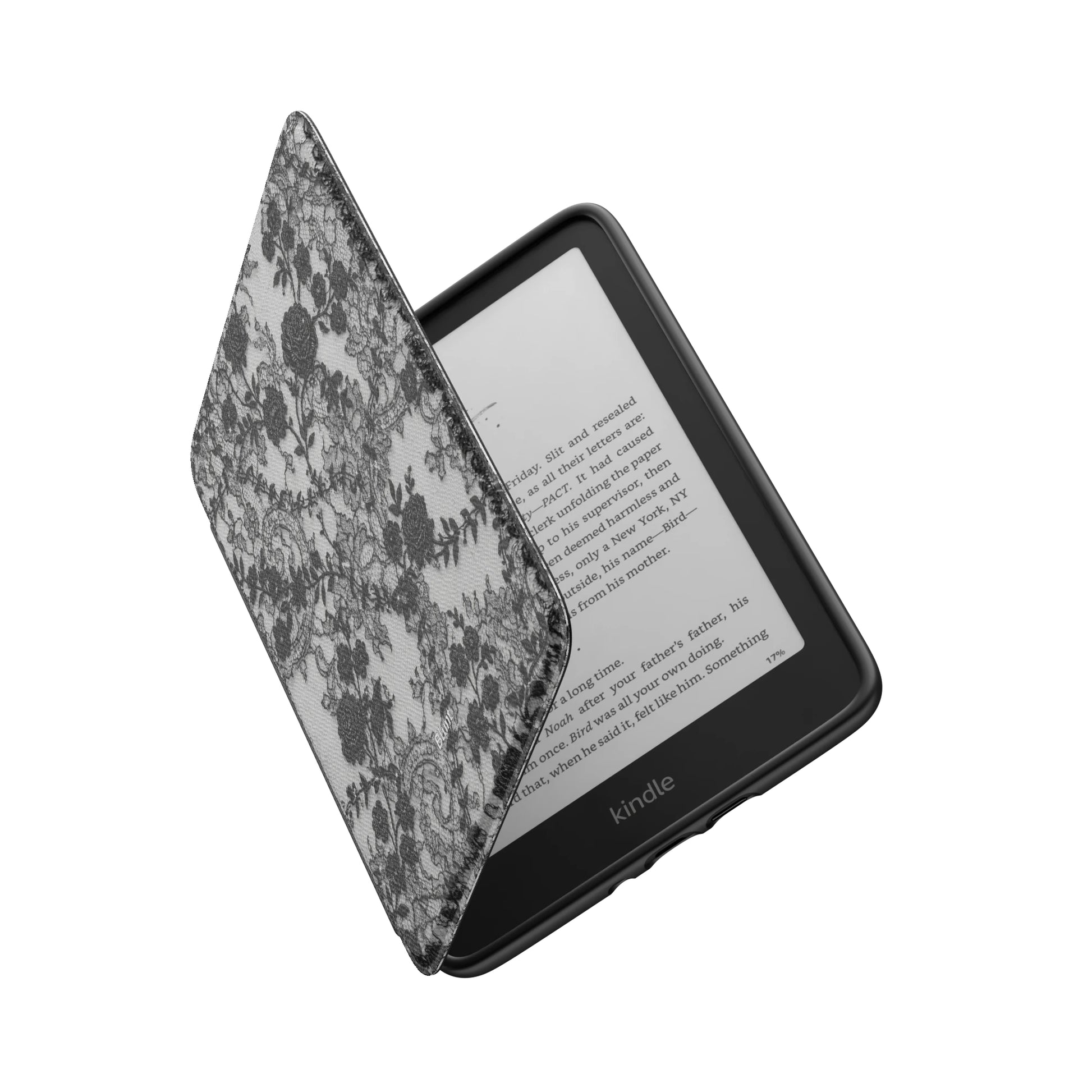 Kindle_Standard_6
