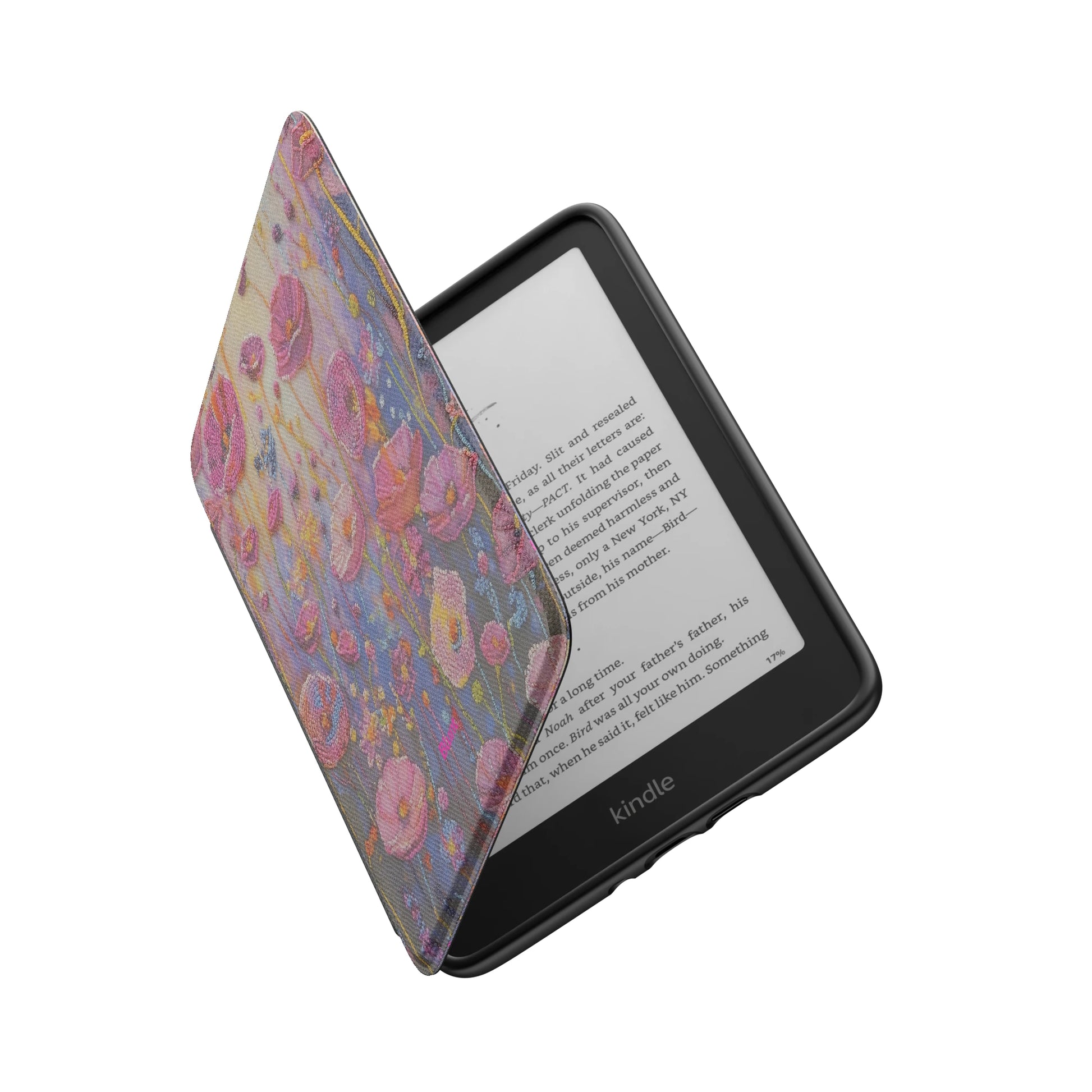 Kindle_Standard_6