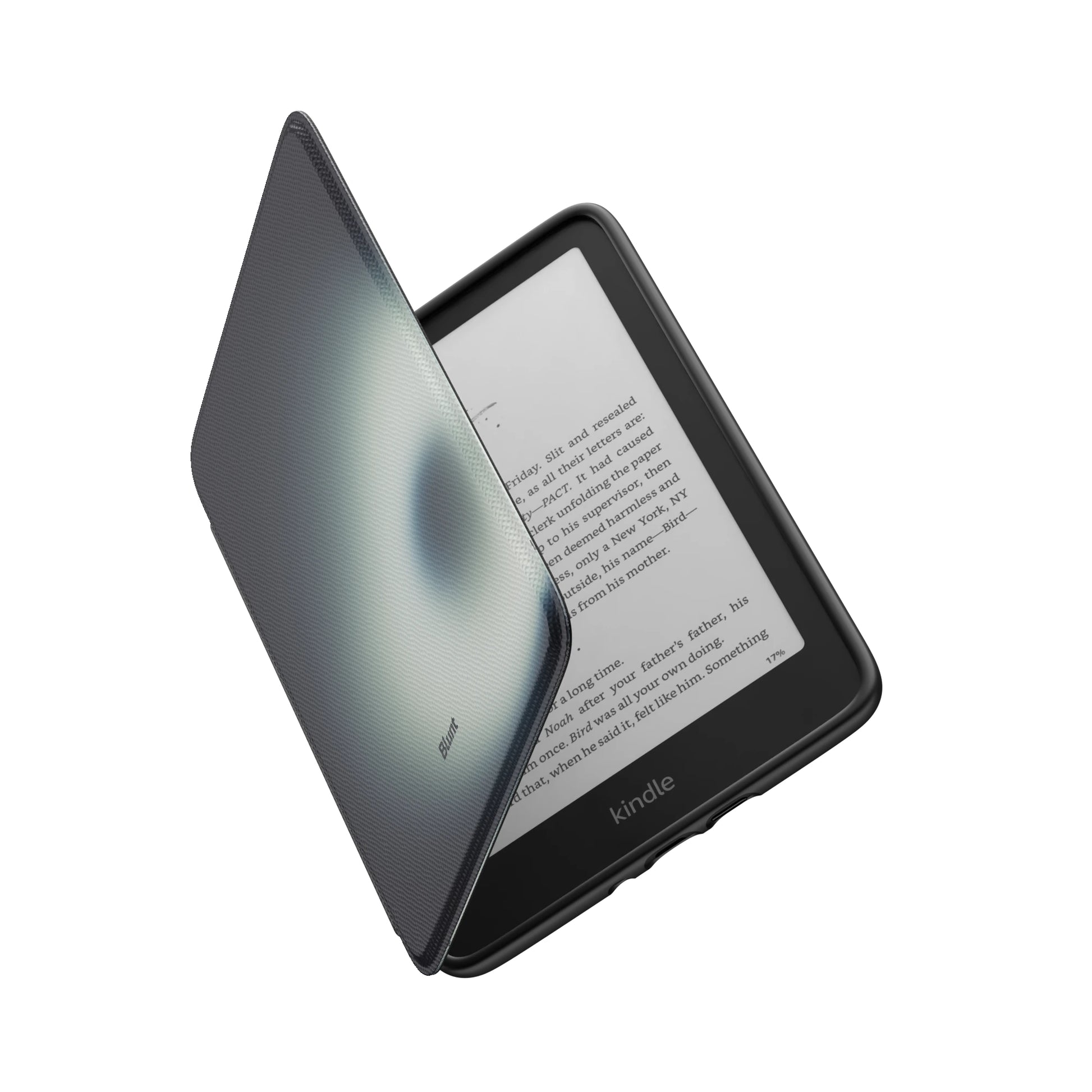 Kindle_Standard_6