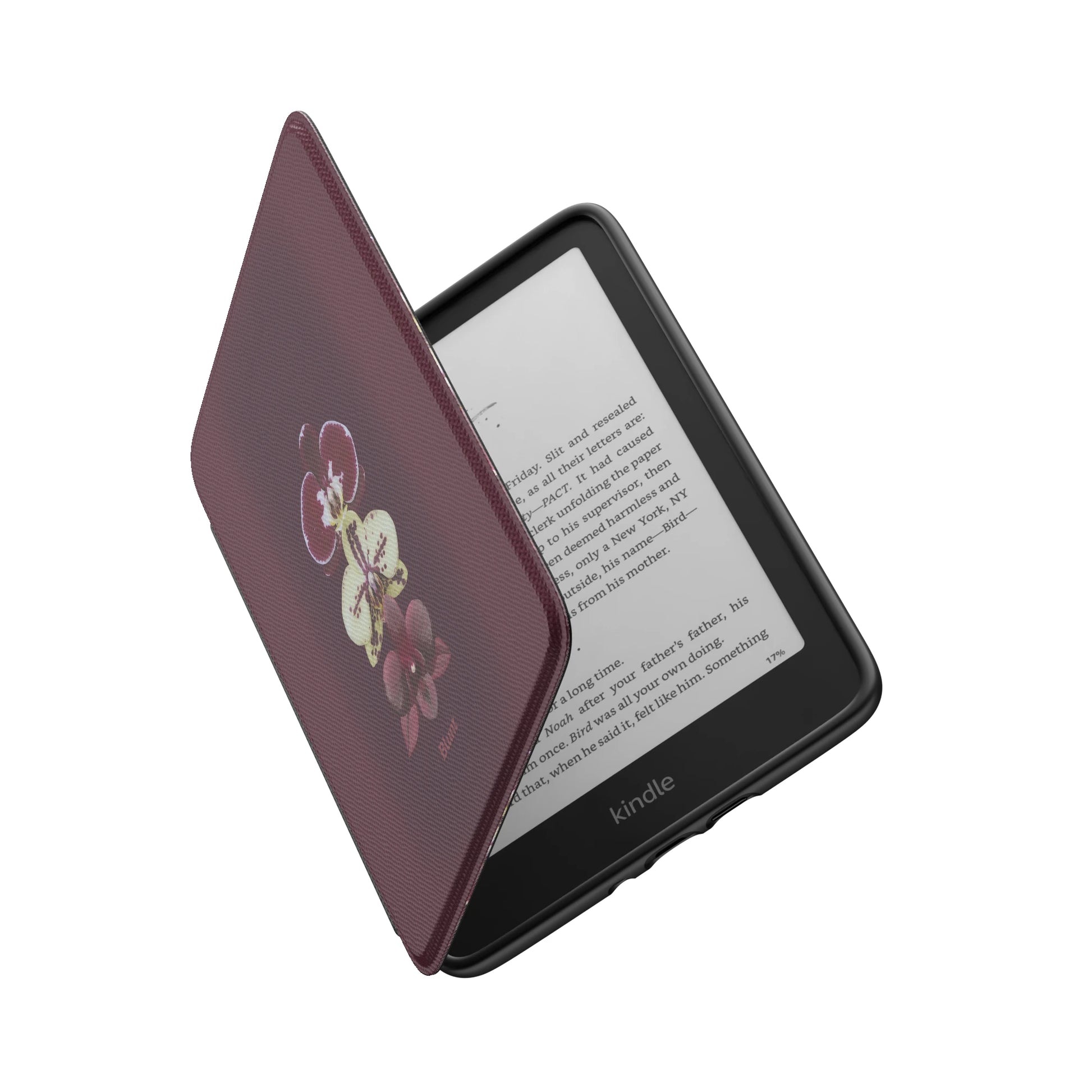 Kindle_Standard_6
