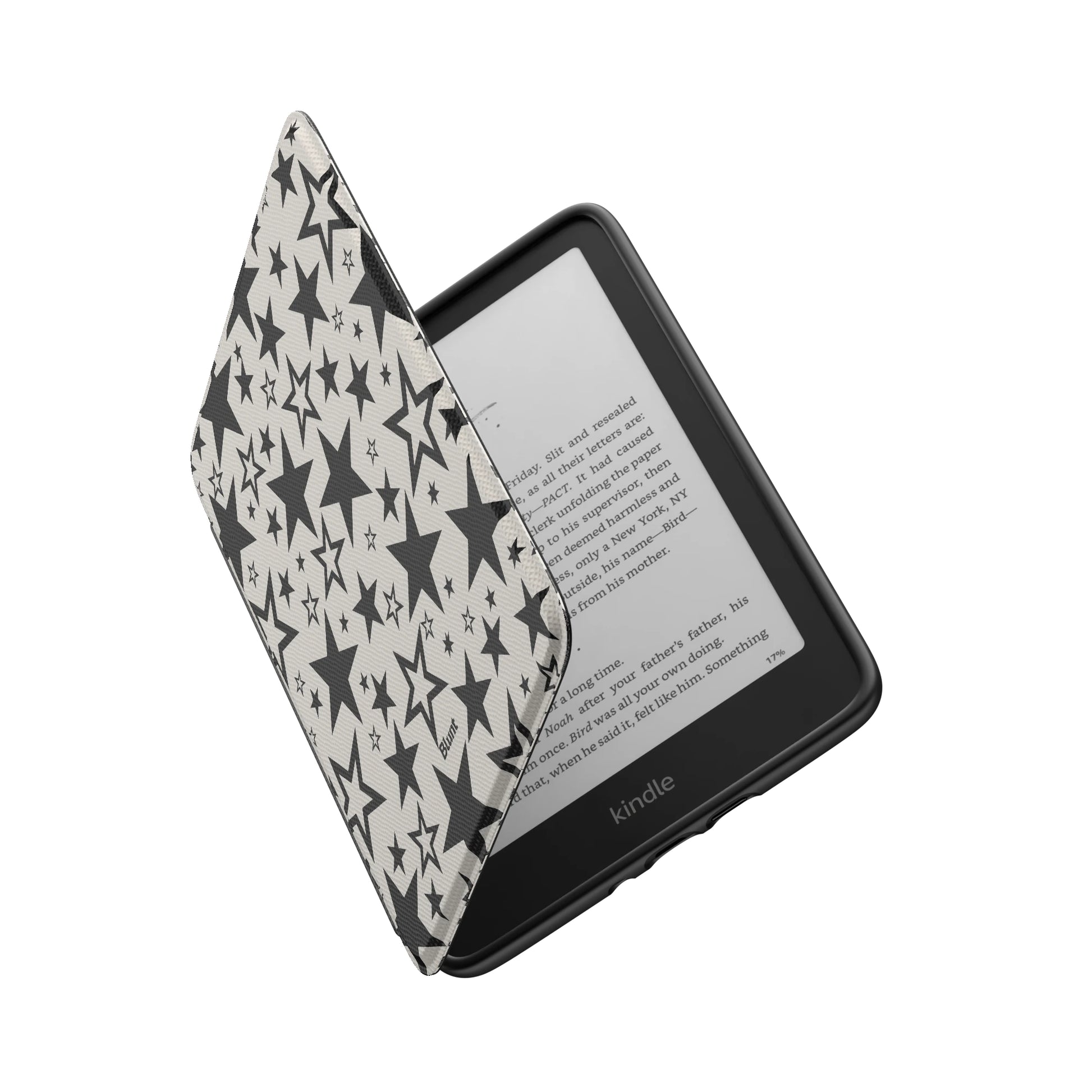 Kindle_Standard_6