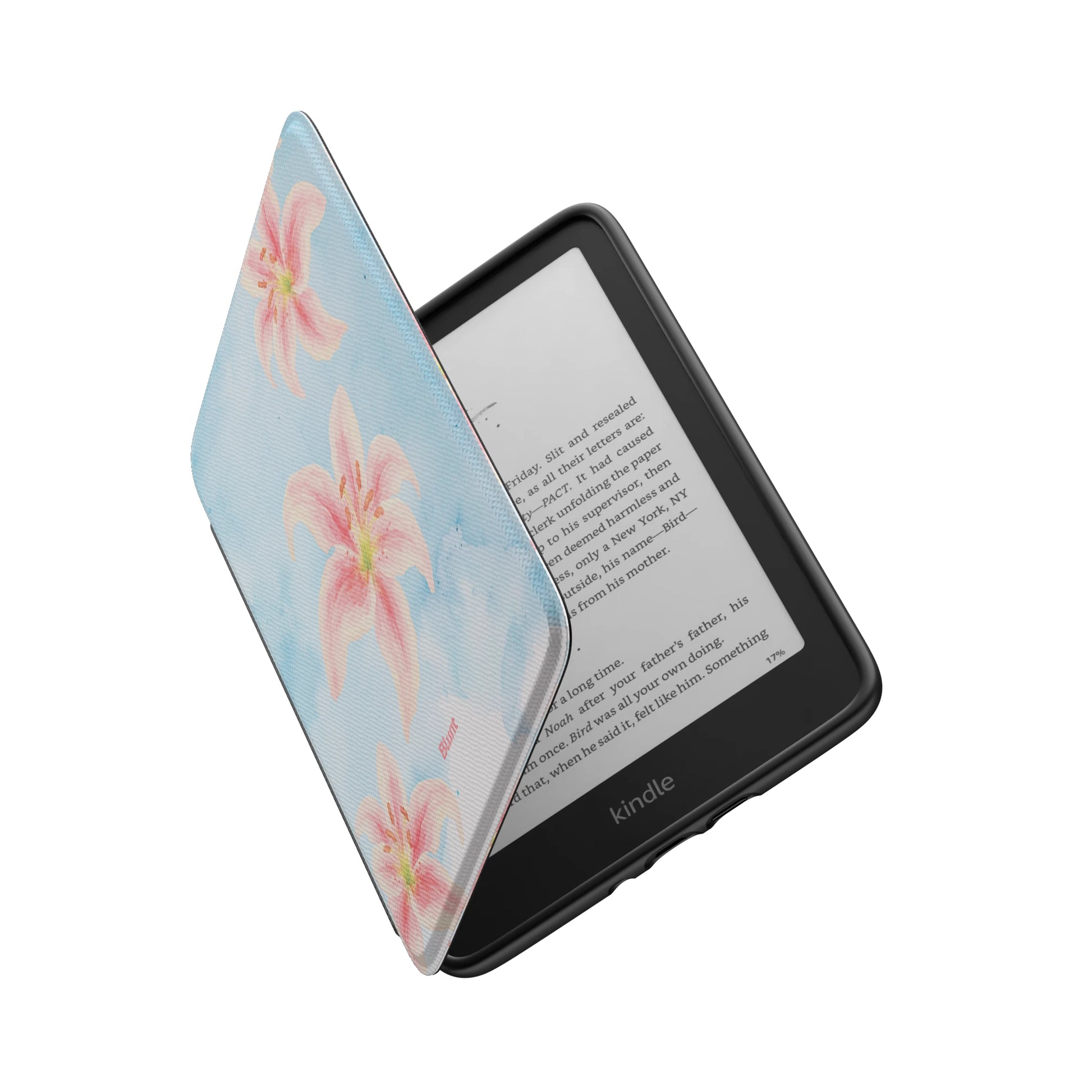 Kindle_Standard_6