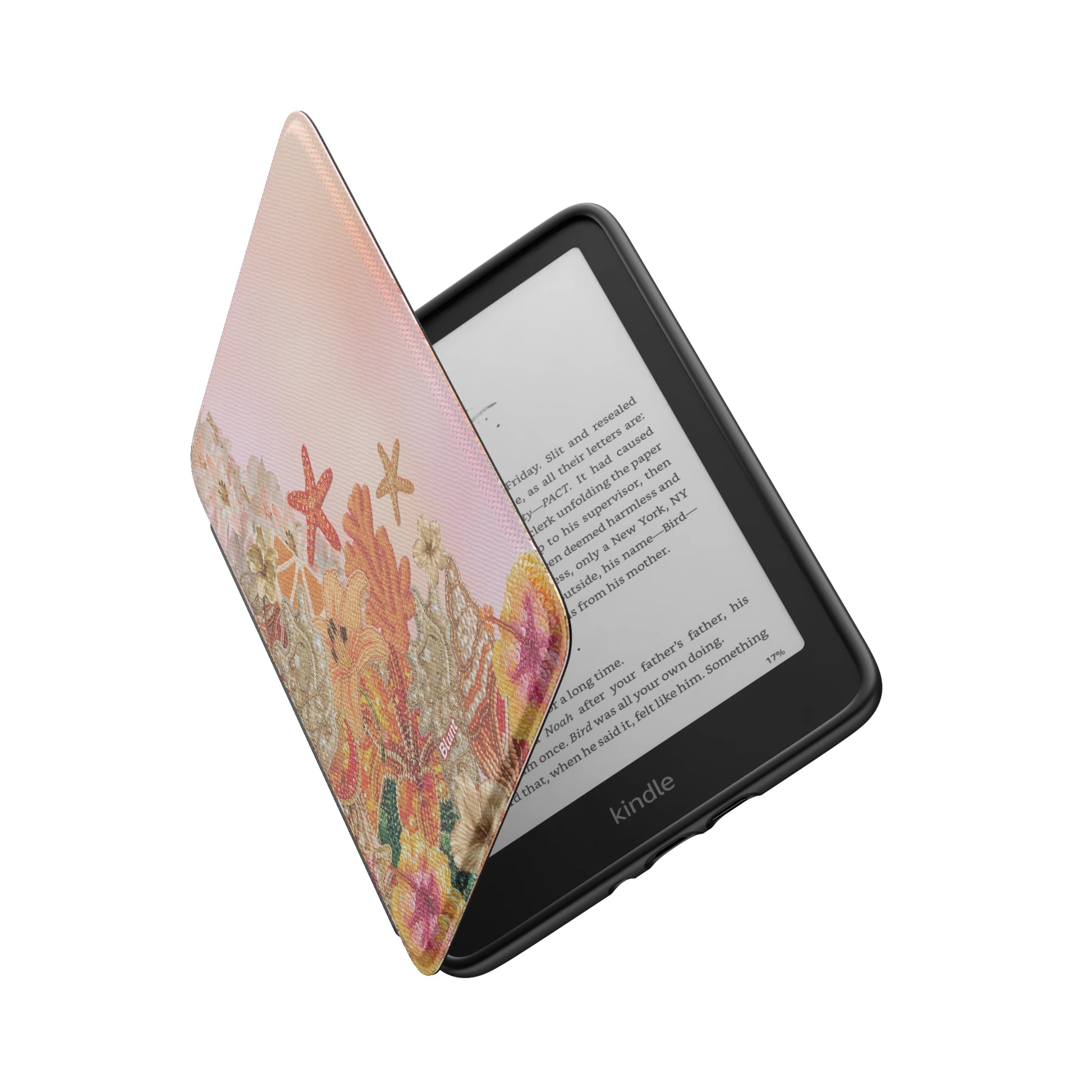 Kindle_Standard_6