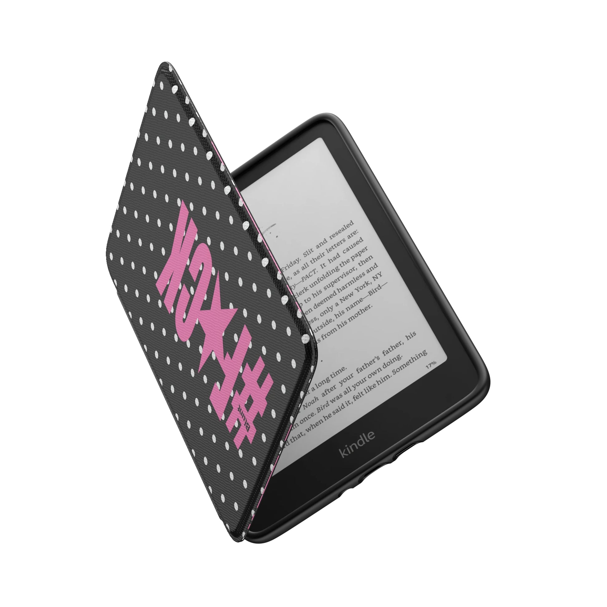 Kindle_Standard_6