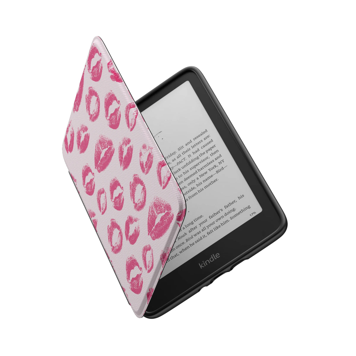 Kindle_Standard_6