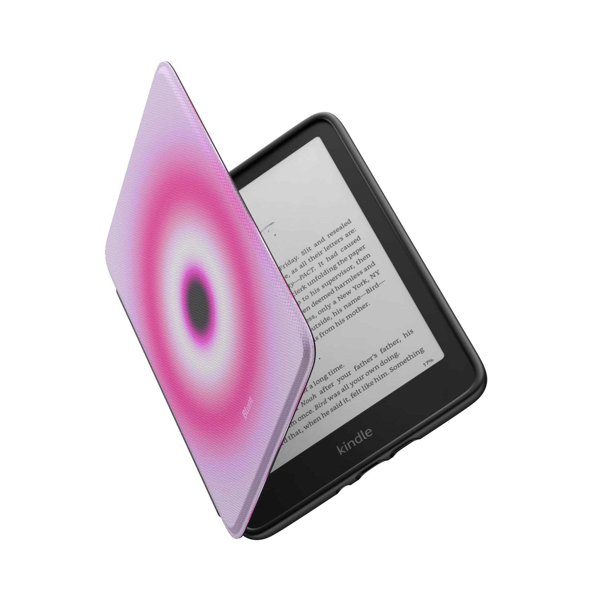 Kindle_Standard_6