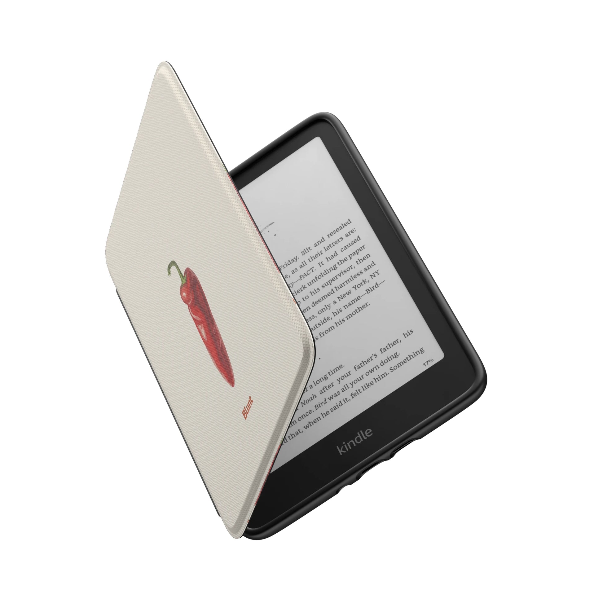 Kindle_Standard_6