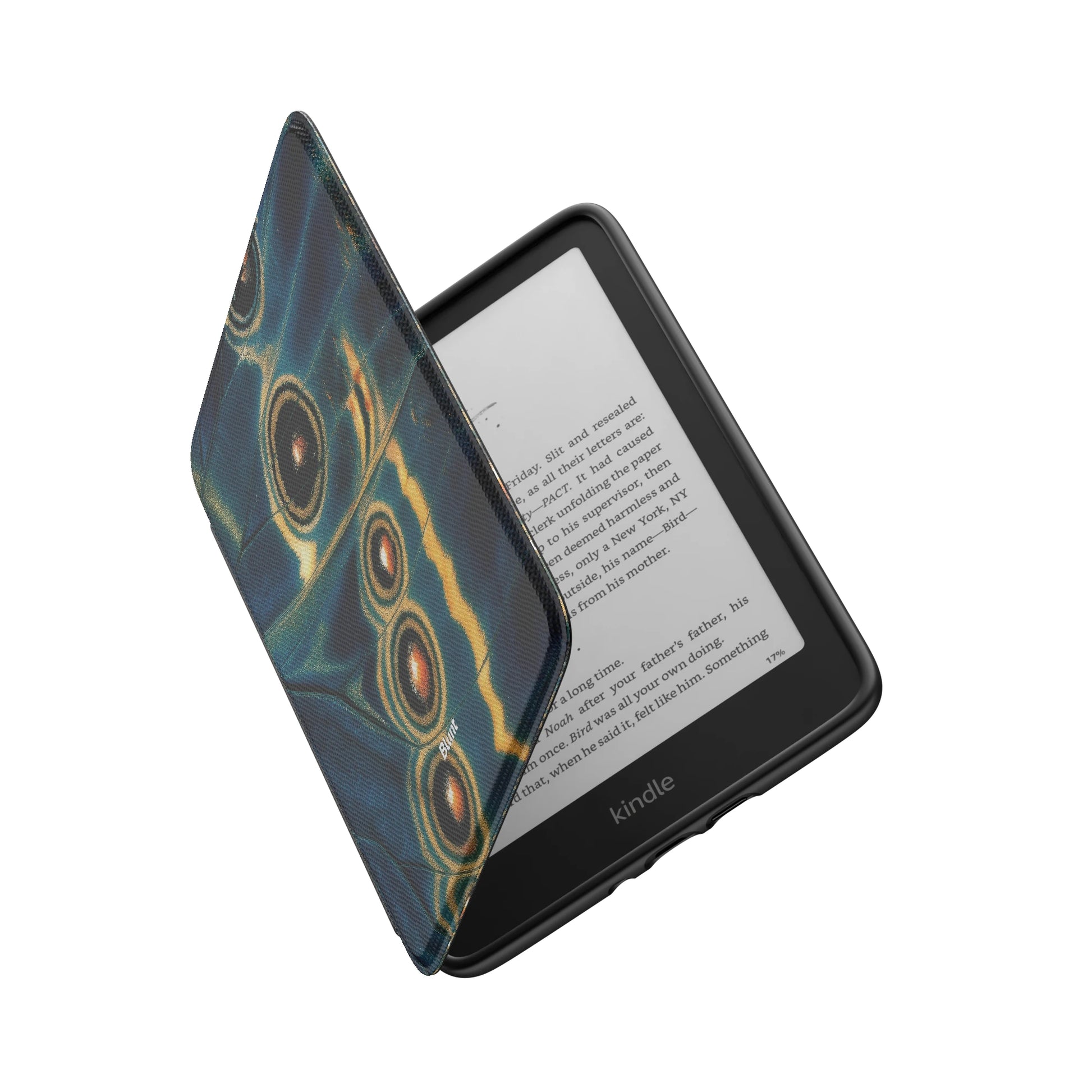 Kindle_Standard_6