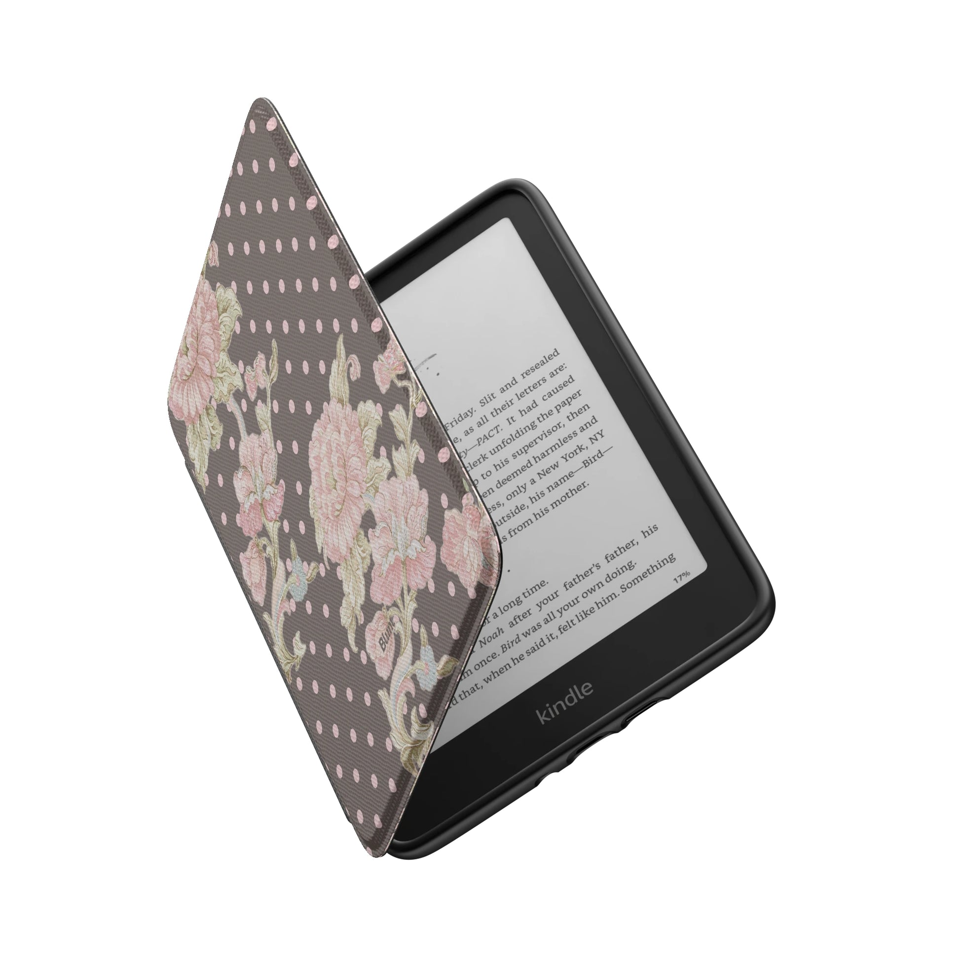 Kindle_Standard_6