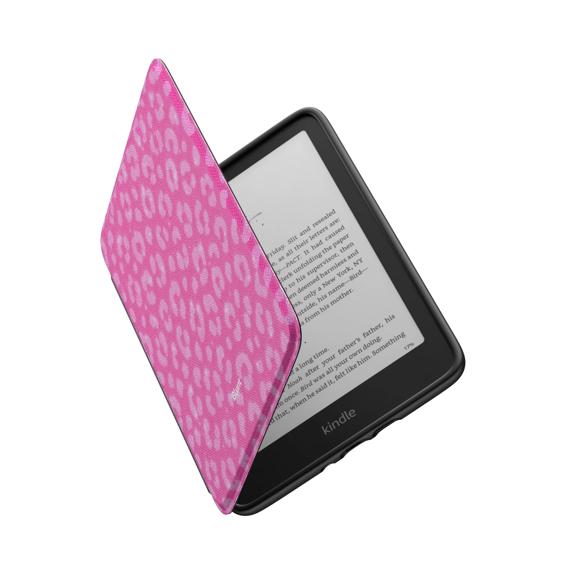 Kindle_Standard_6