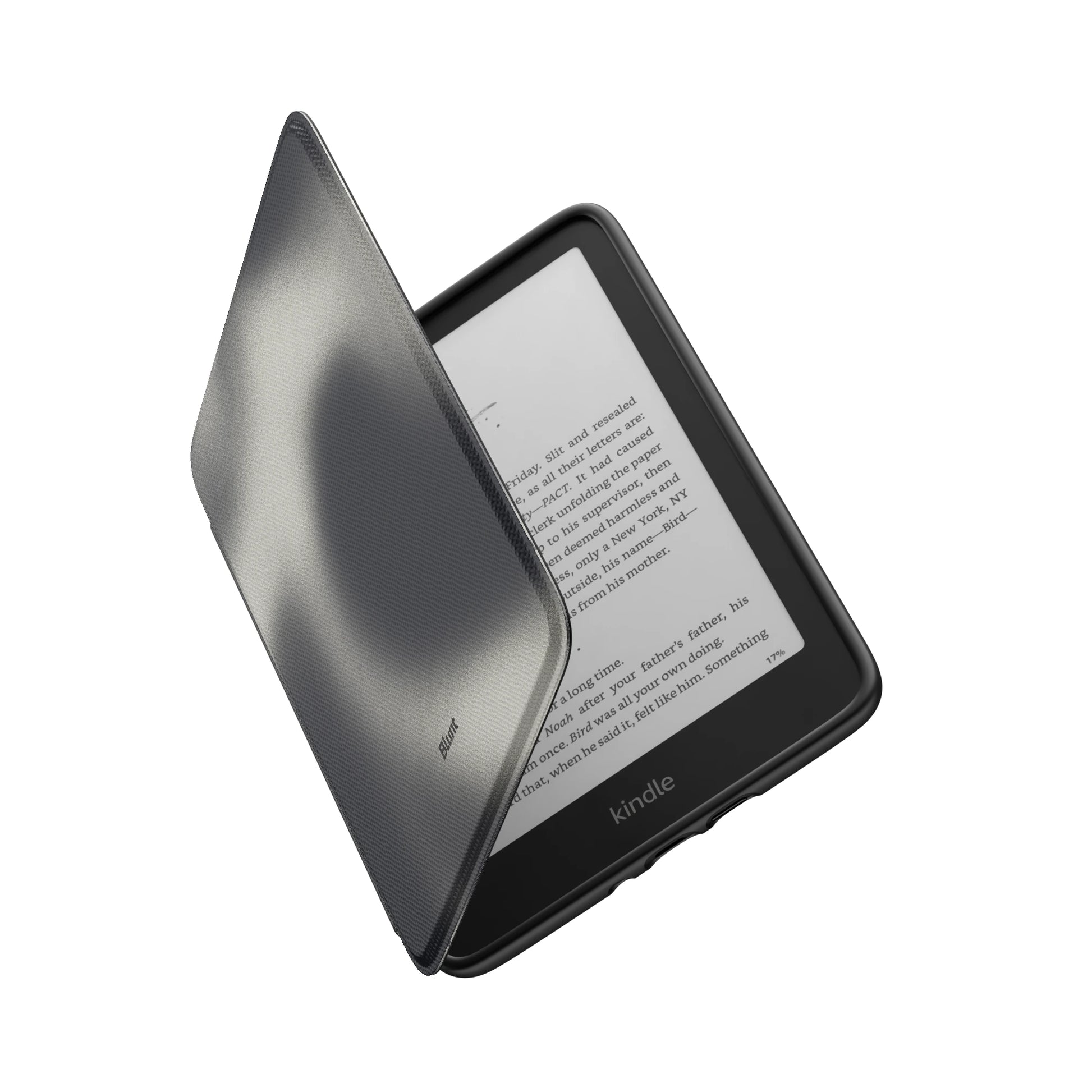 Kindle_Standard_6