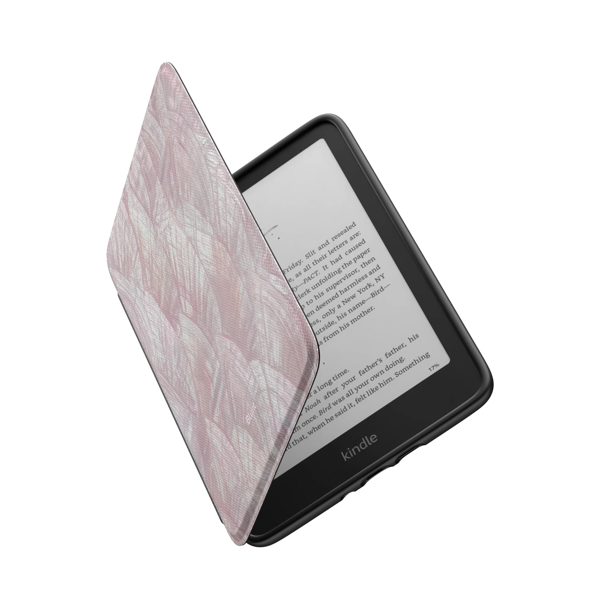 Kindle_Standard_6