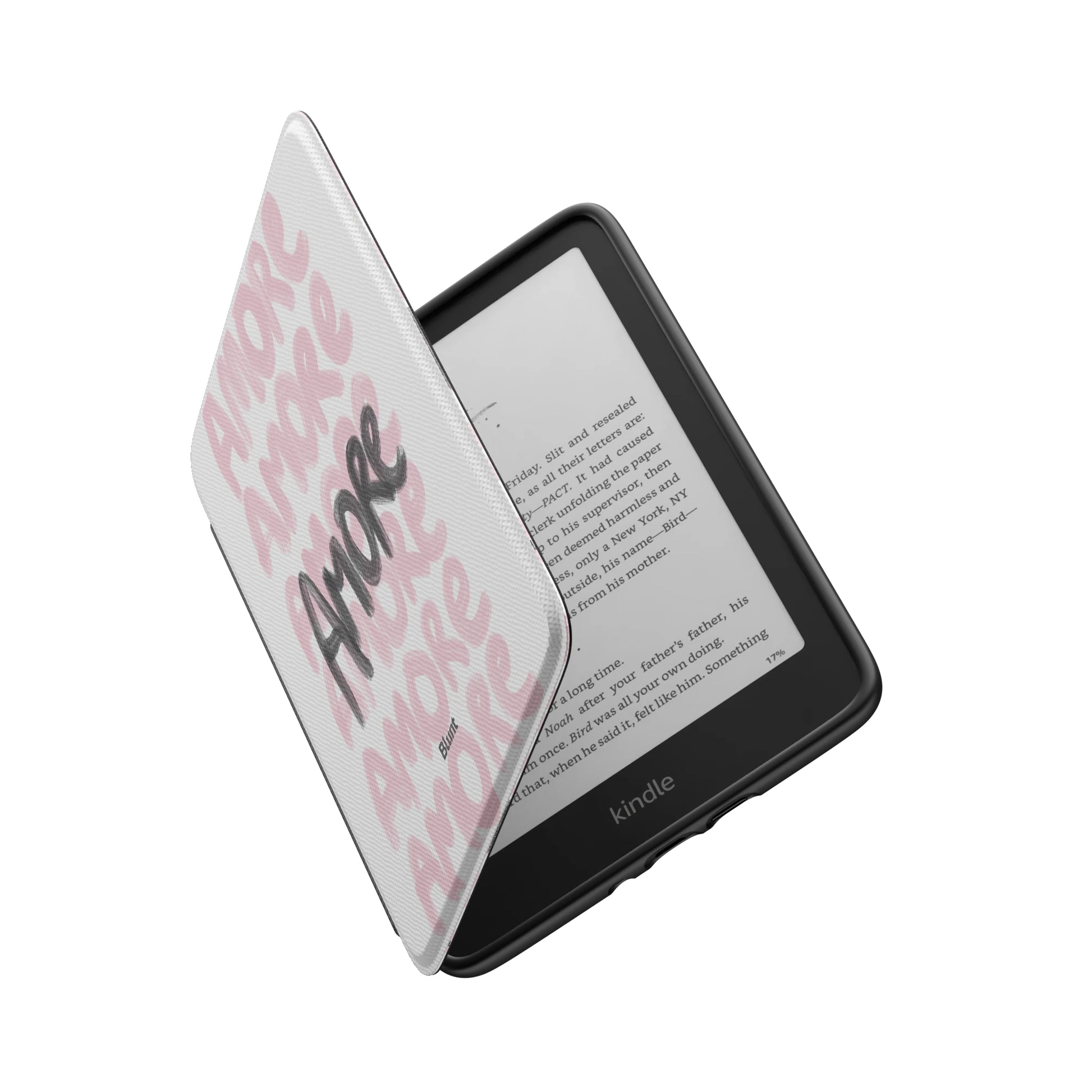 Kindle_Standard_6