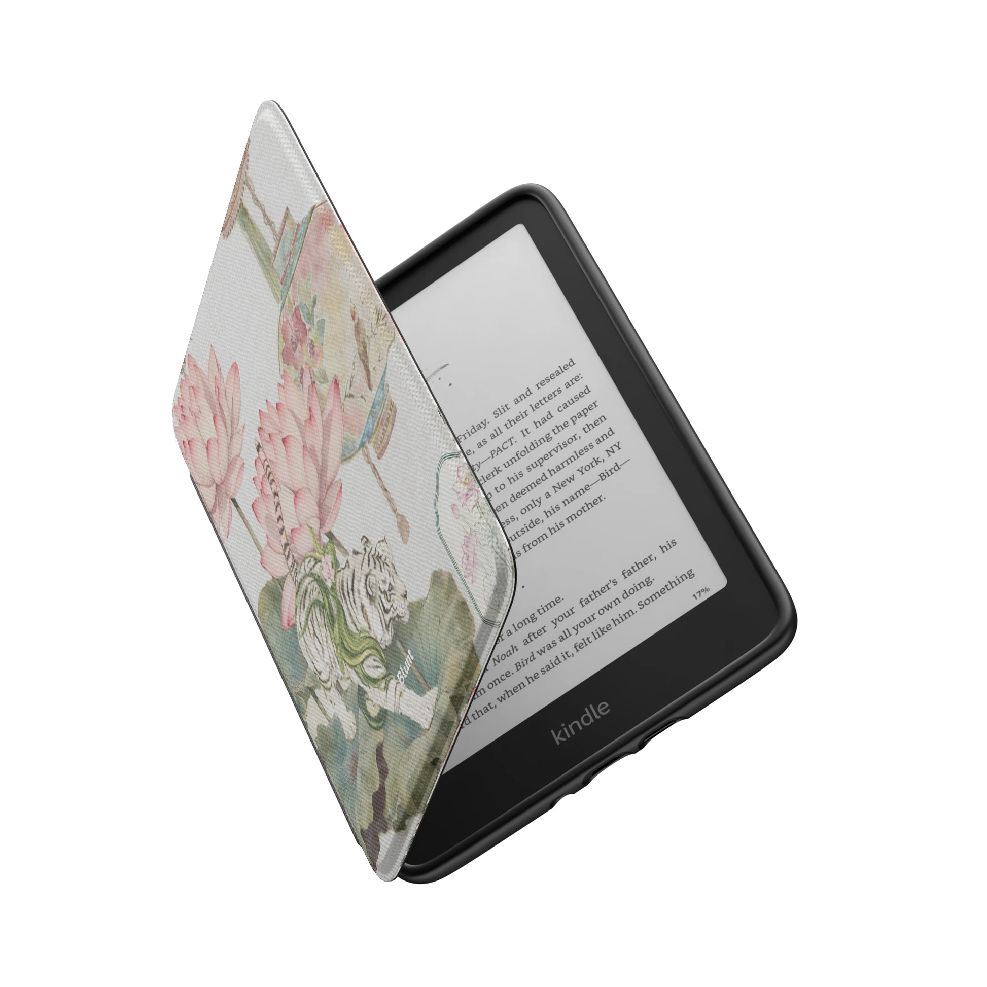 Kindle_Standard_6