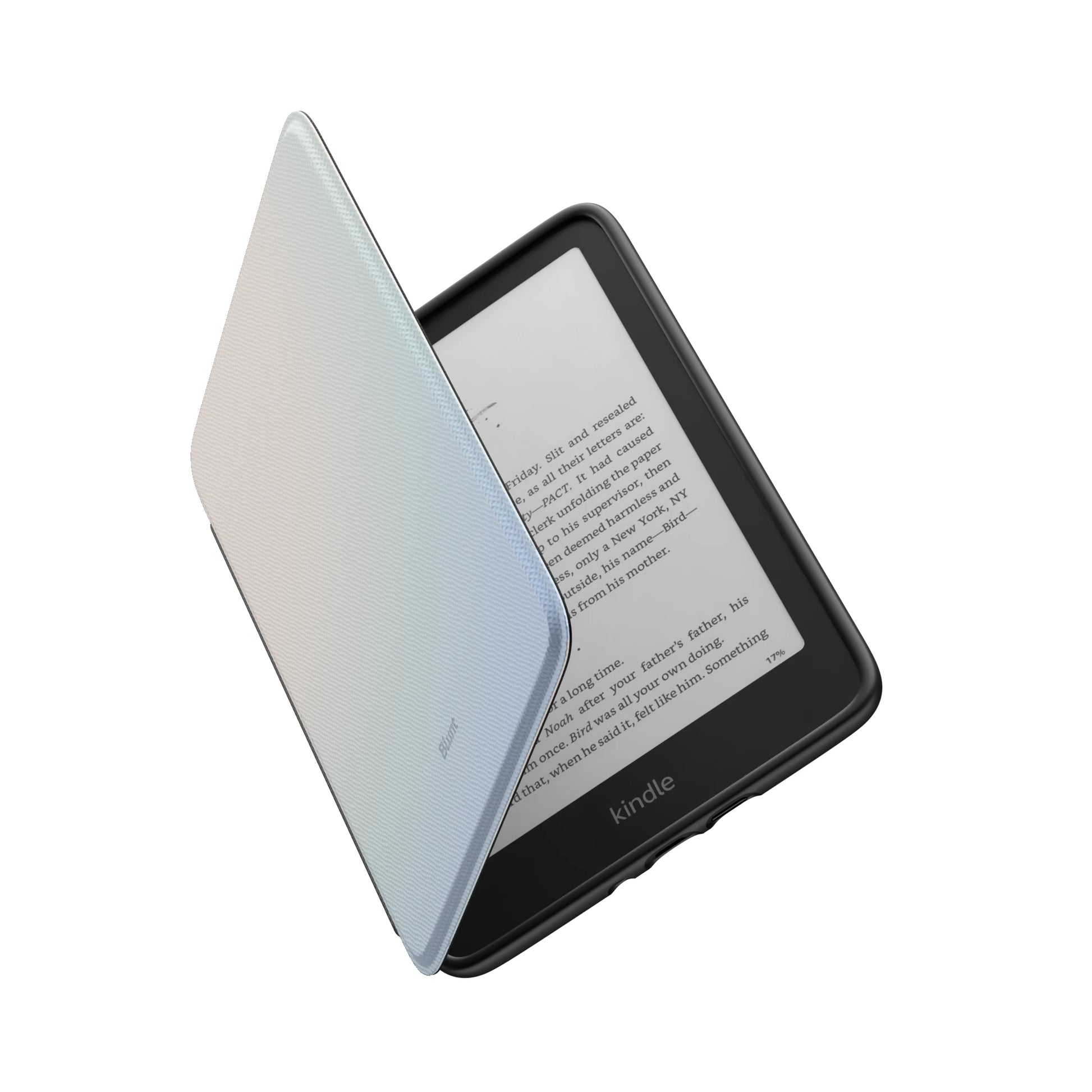 Kindle_Standard_6