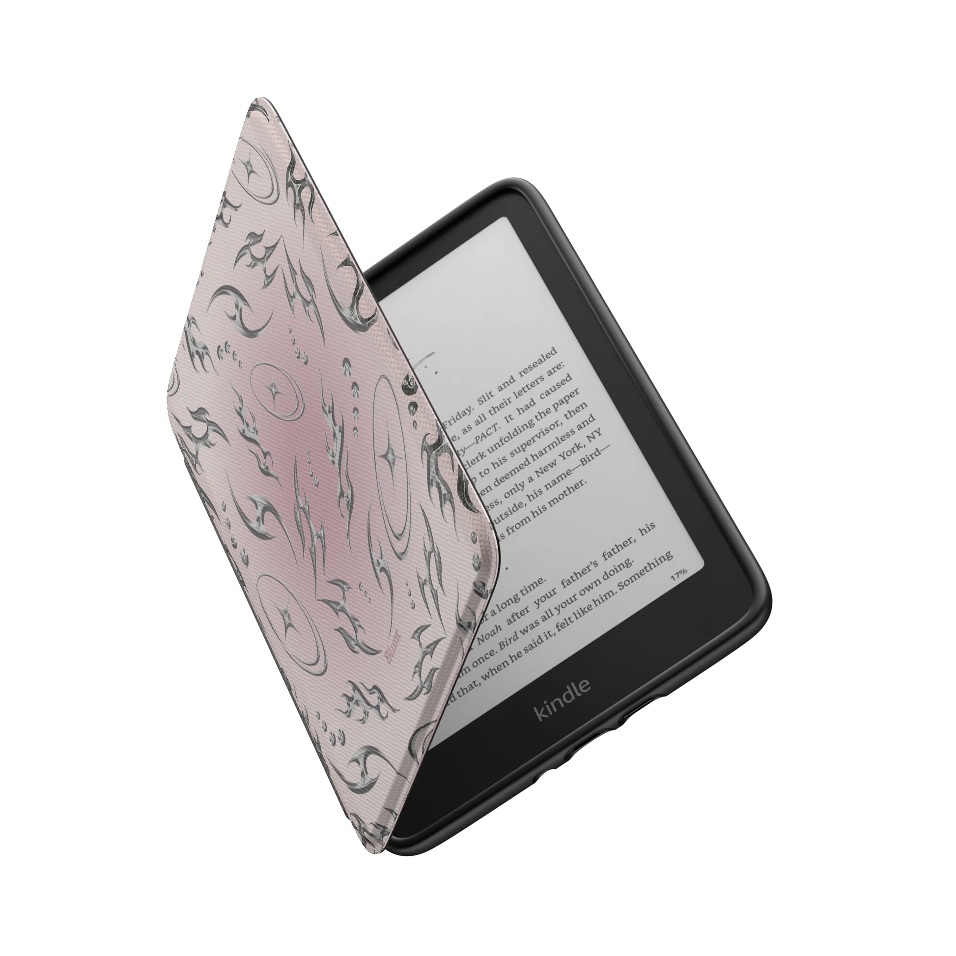Kindle_Standard_6