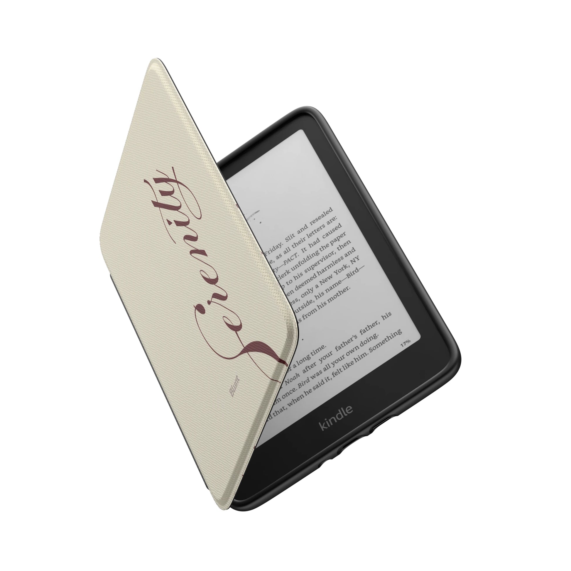 Kindle_Standard_6