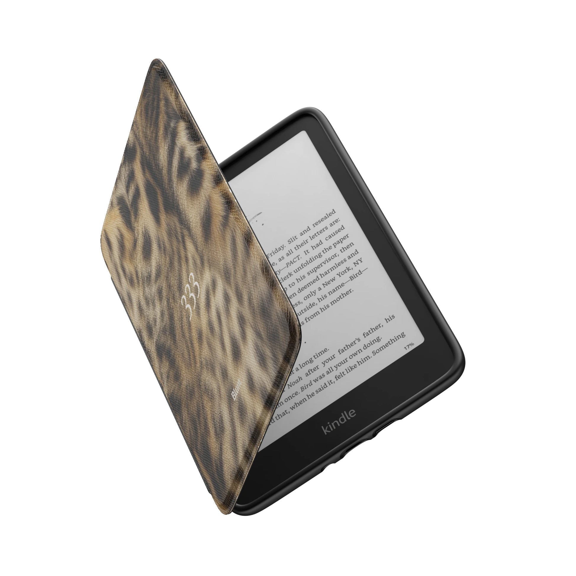 Kindle_Standard_6