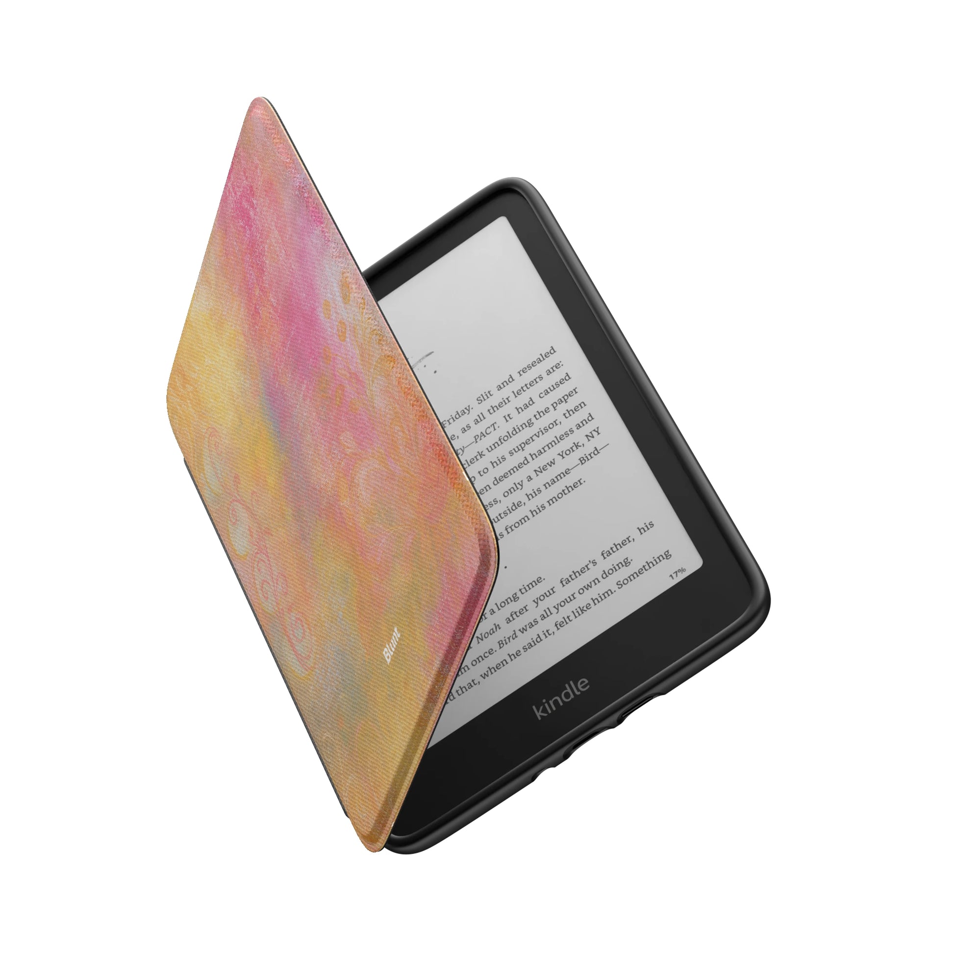 Kindle_Standard_6