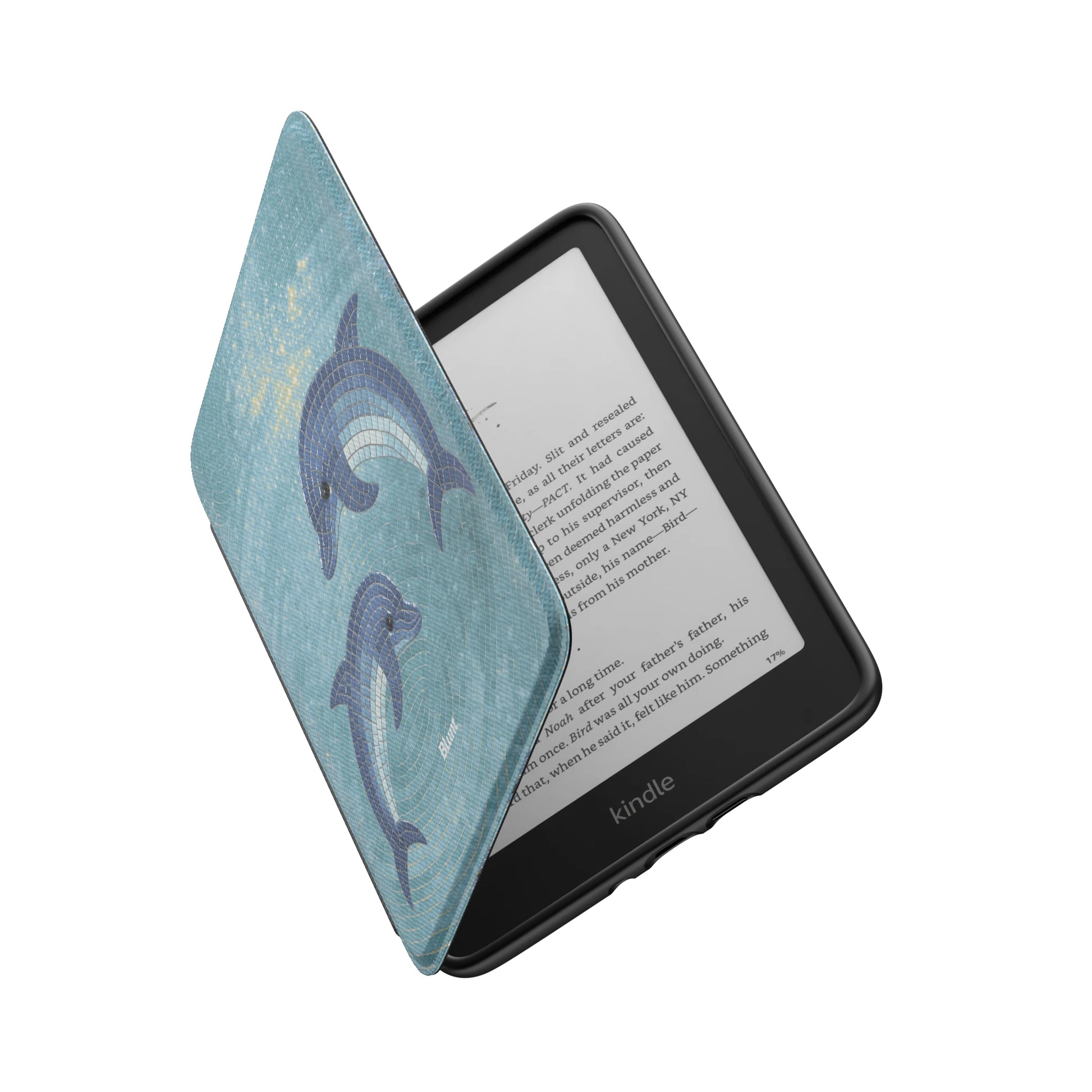Kindle_Standard_6