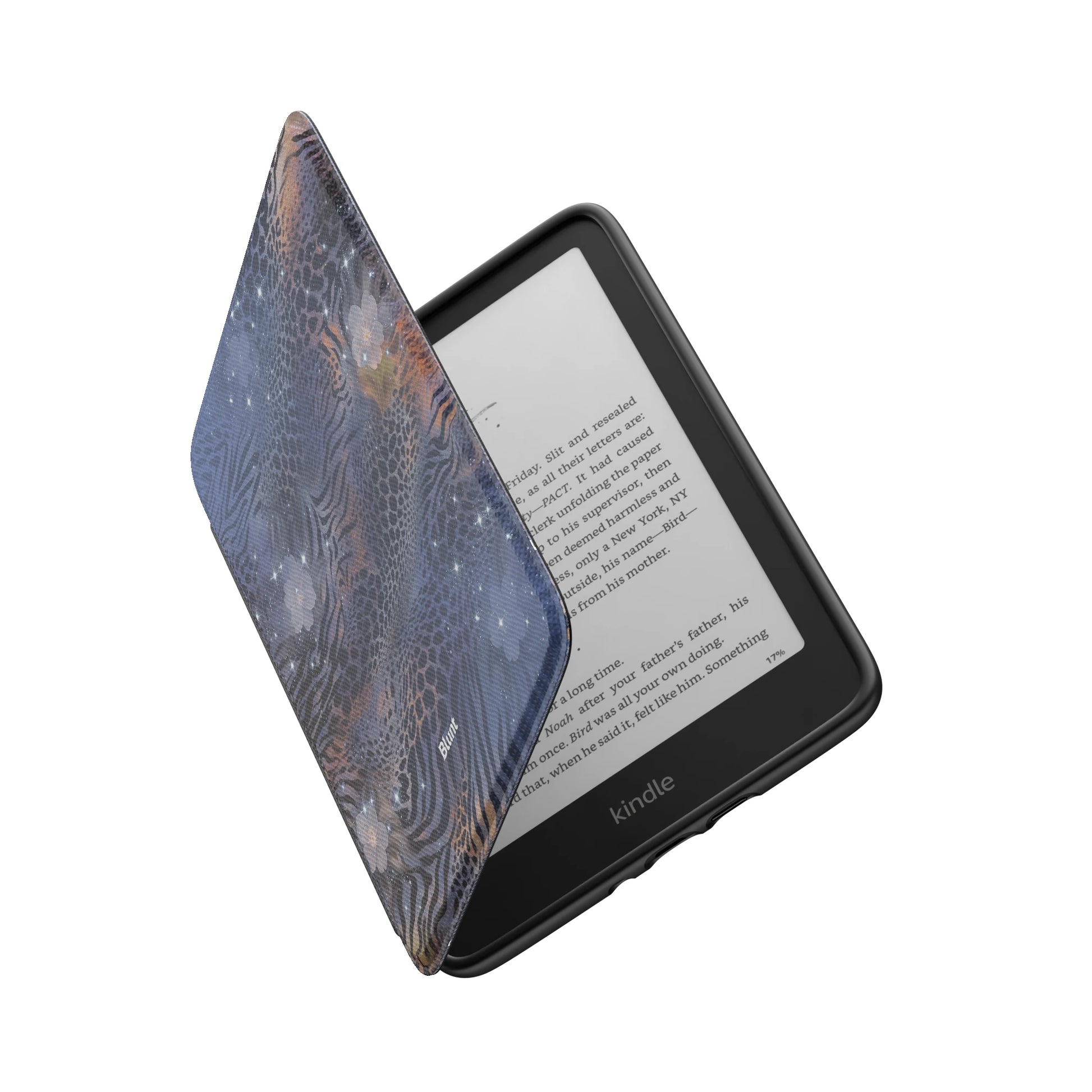 Kindle_Standard_6