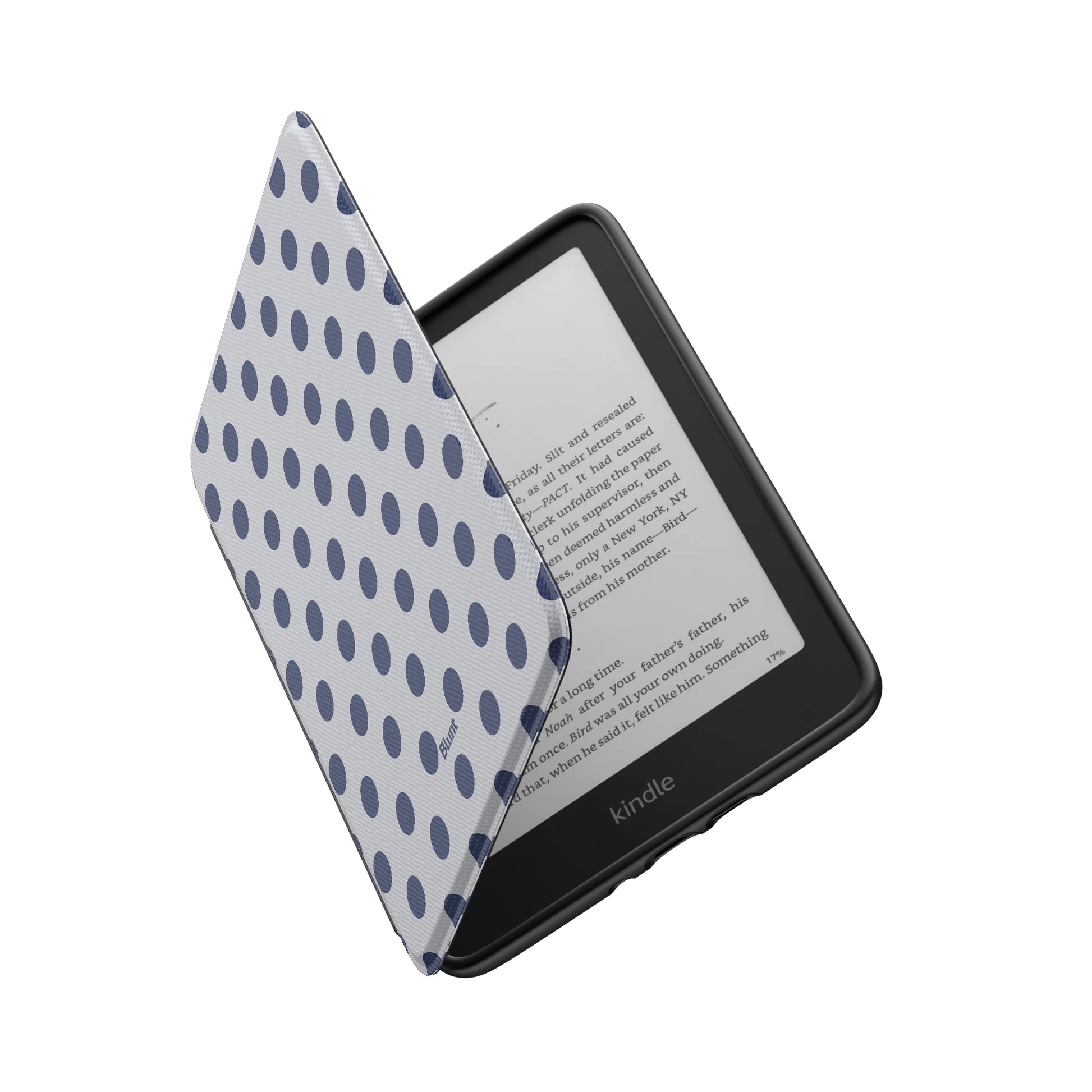 Kindle_Standard_6