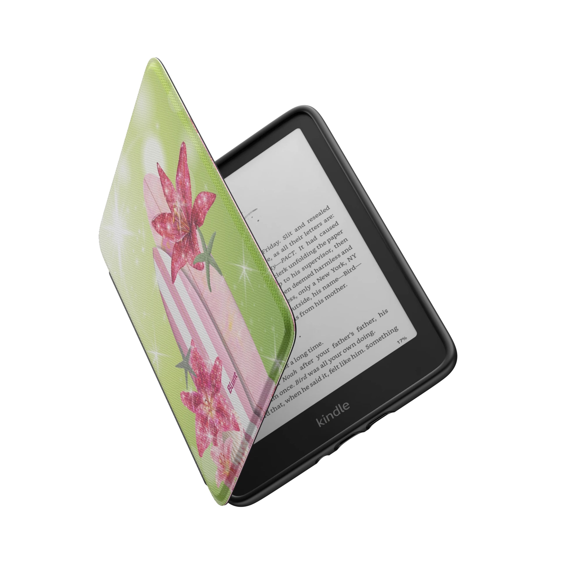 Kindle_Standard_6