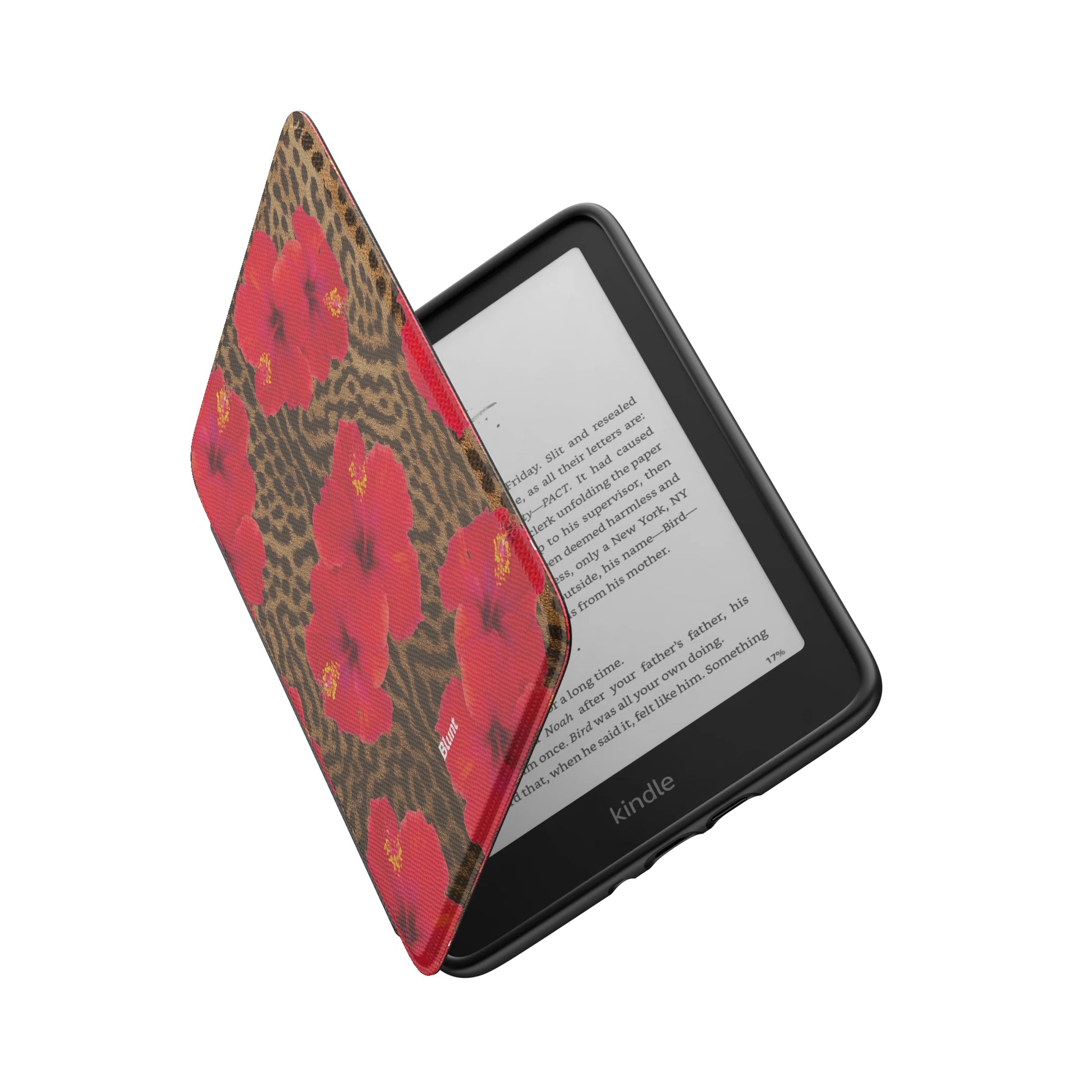 Kindle_Standard_6