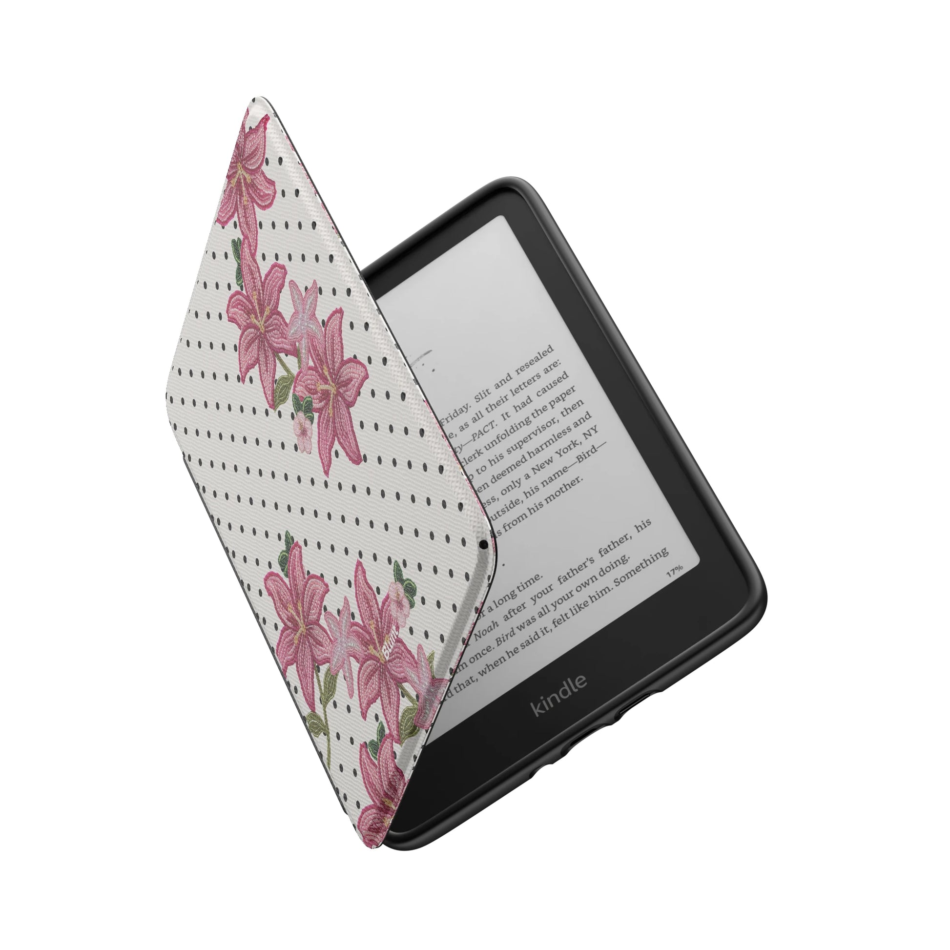 Kindle_Standard_6