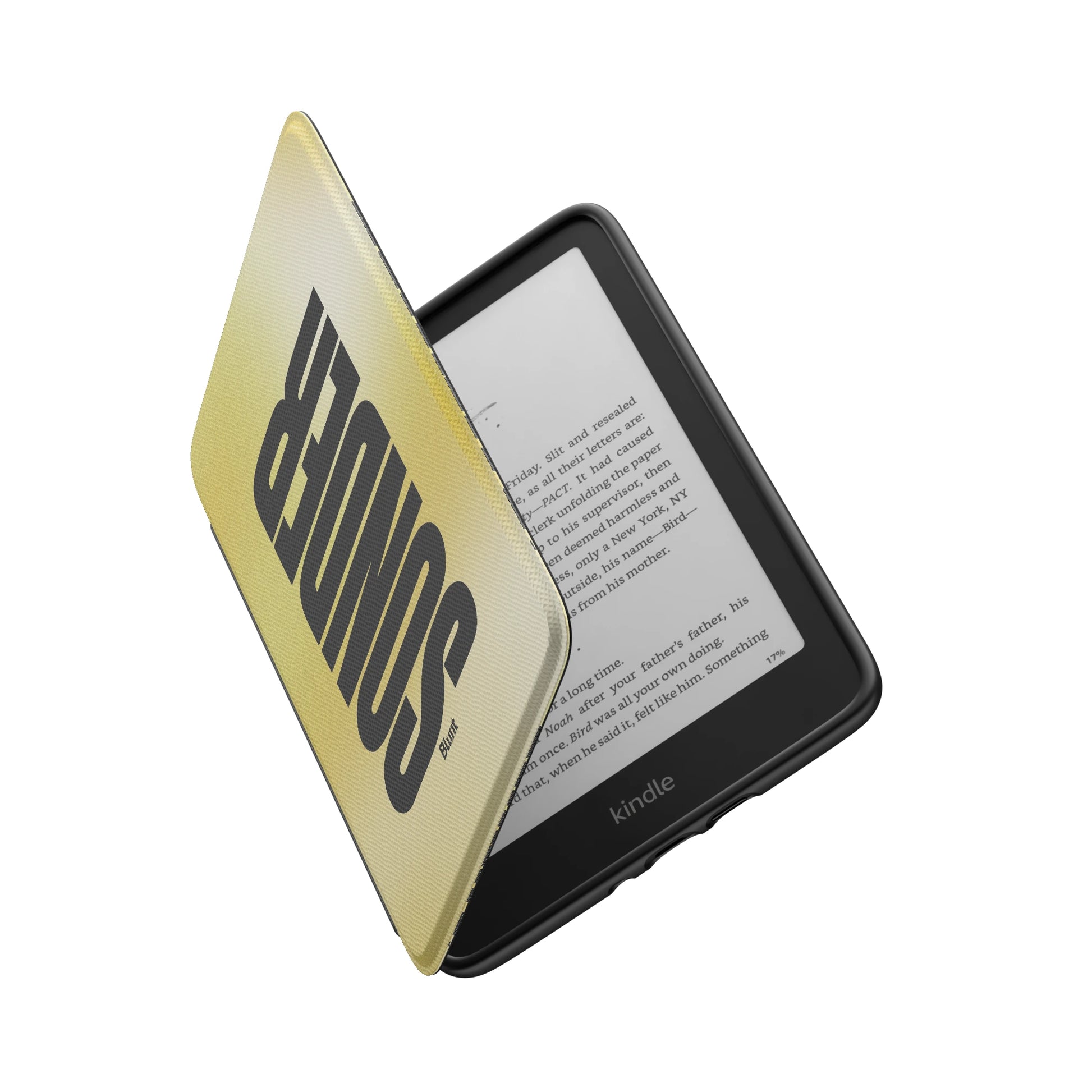 Kindle_Standard_6