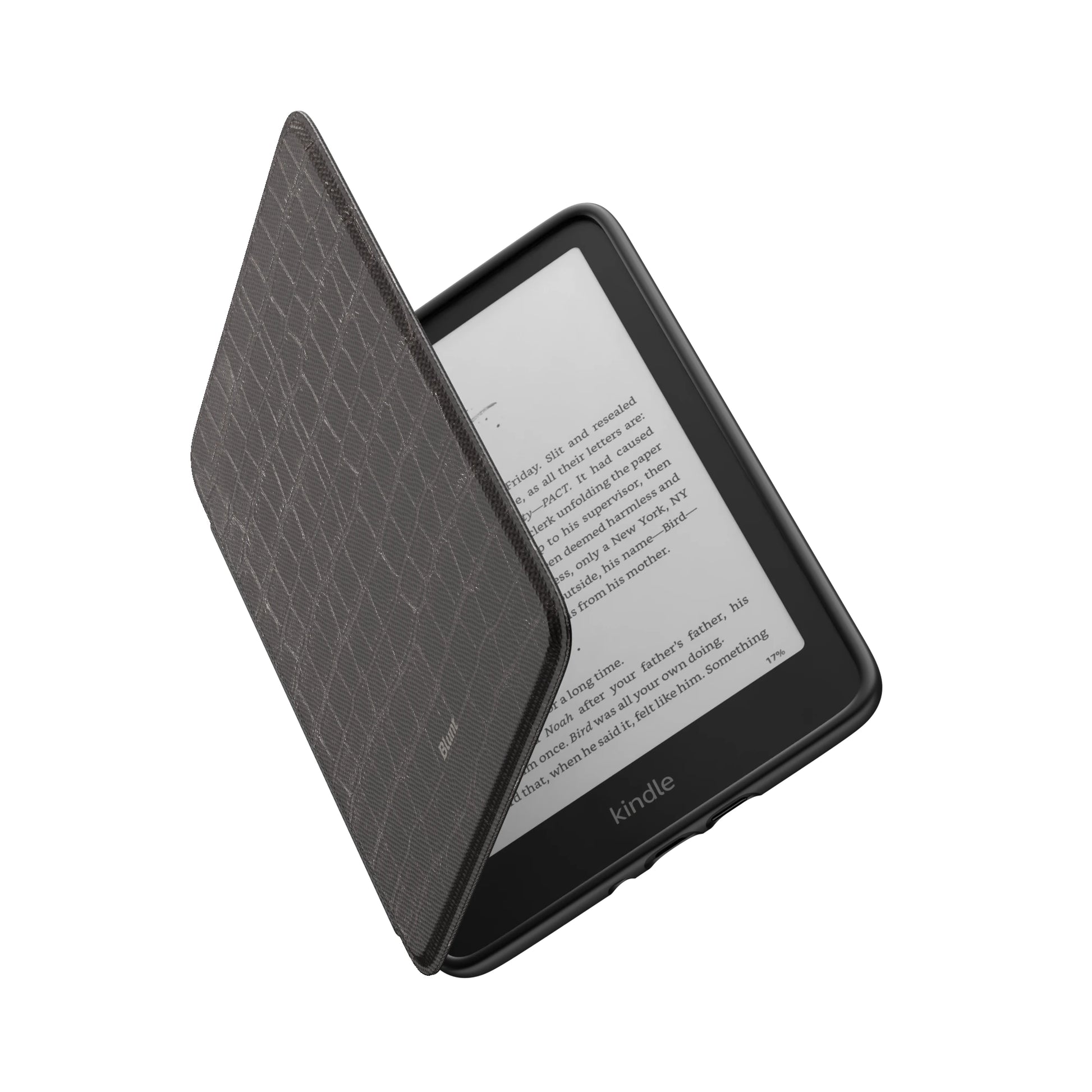 Kindle_Standard_6