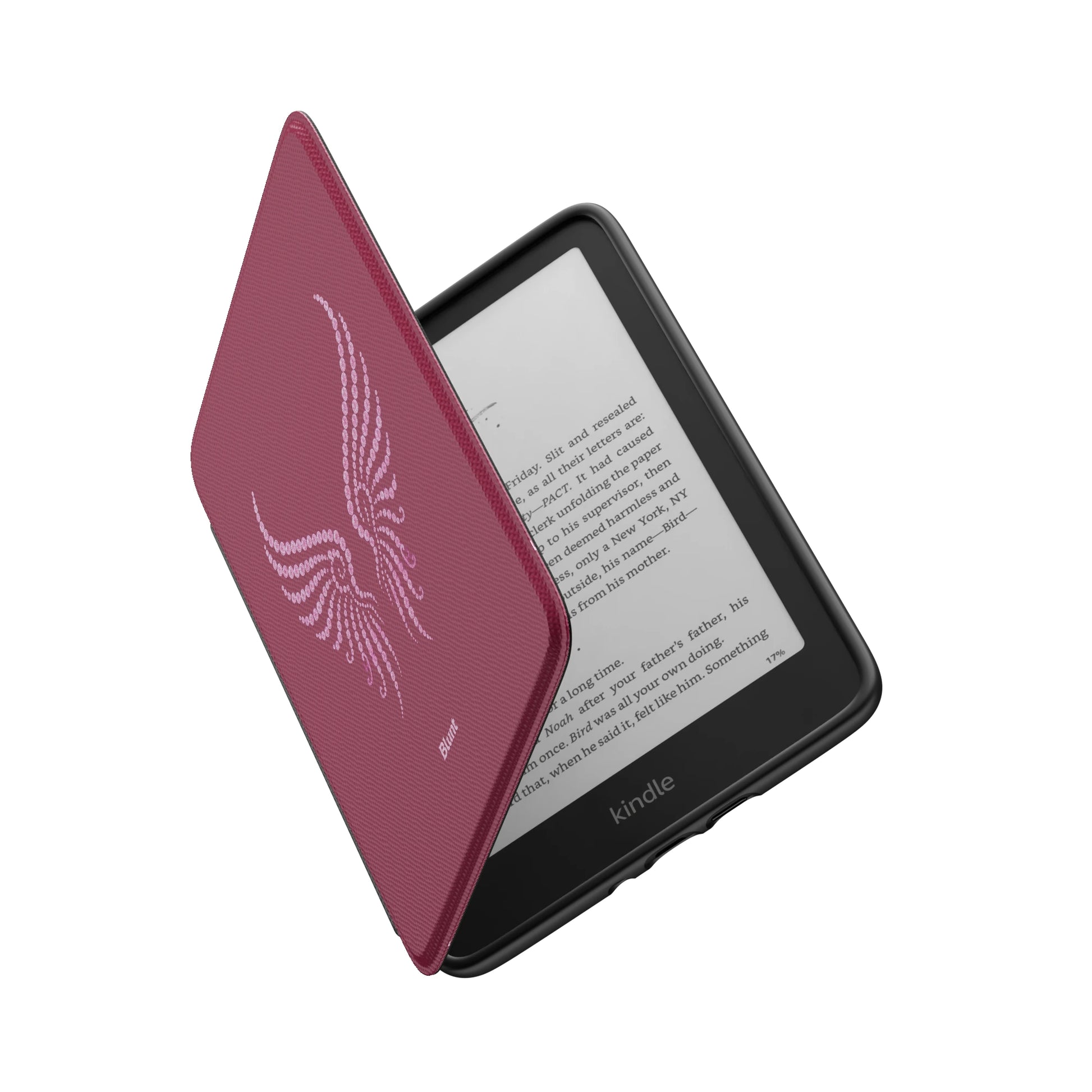 Kindle_Standard_6