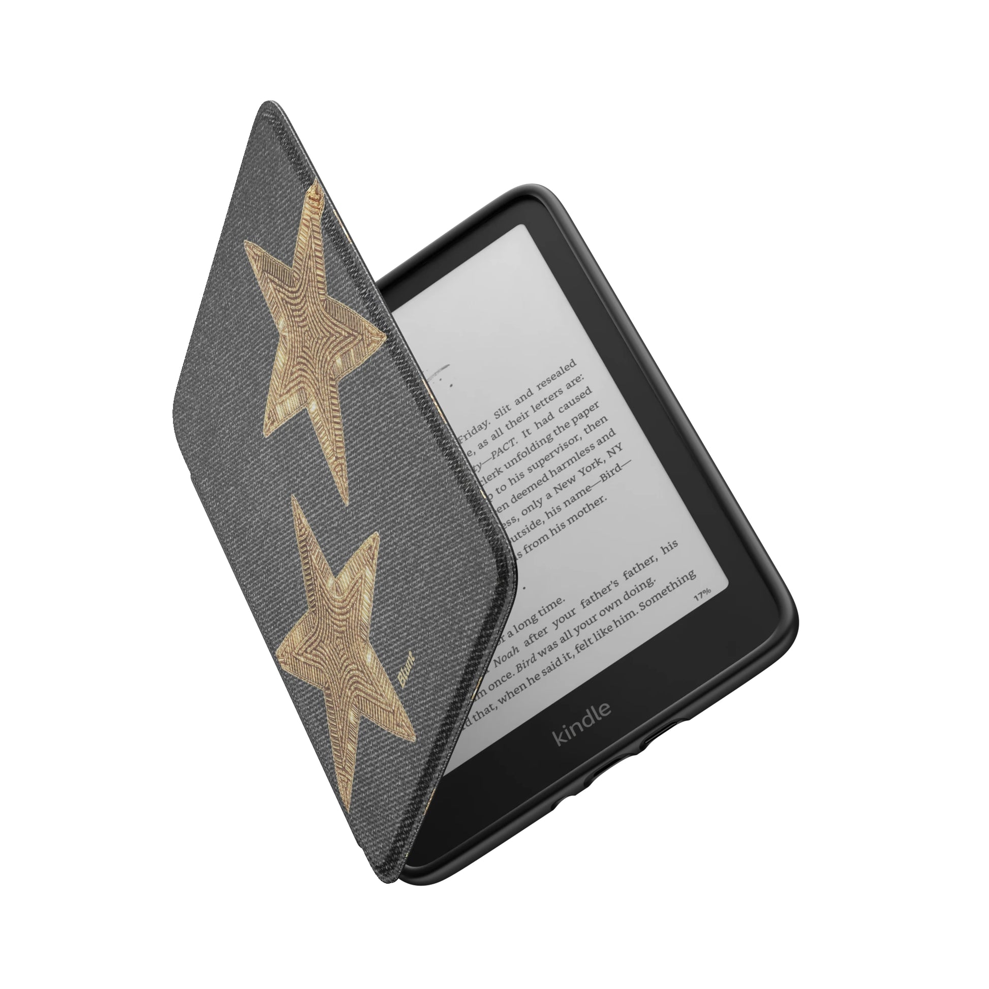 Kindle_Standard_6